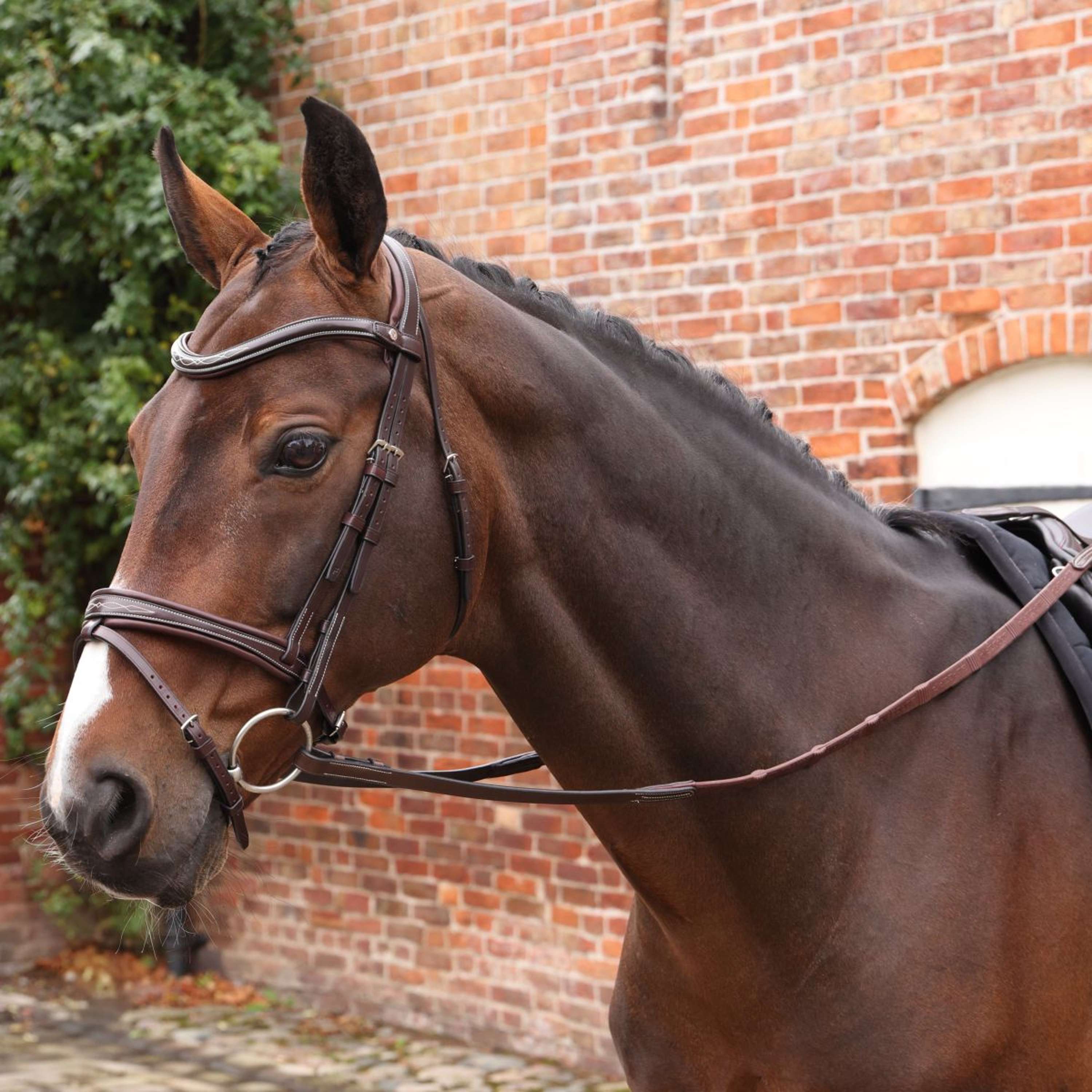 Velociti by Shires Rênes Lusso Elite Pro SureGrip Havane - Image 14