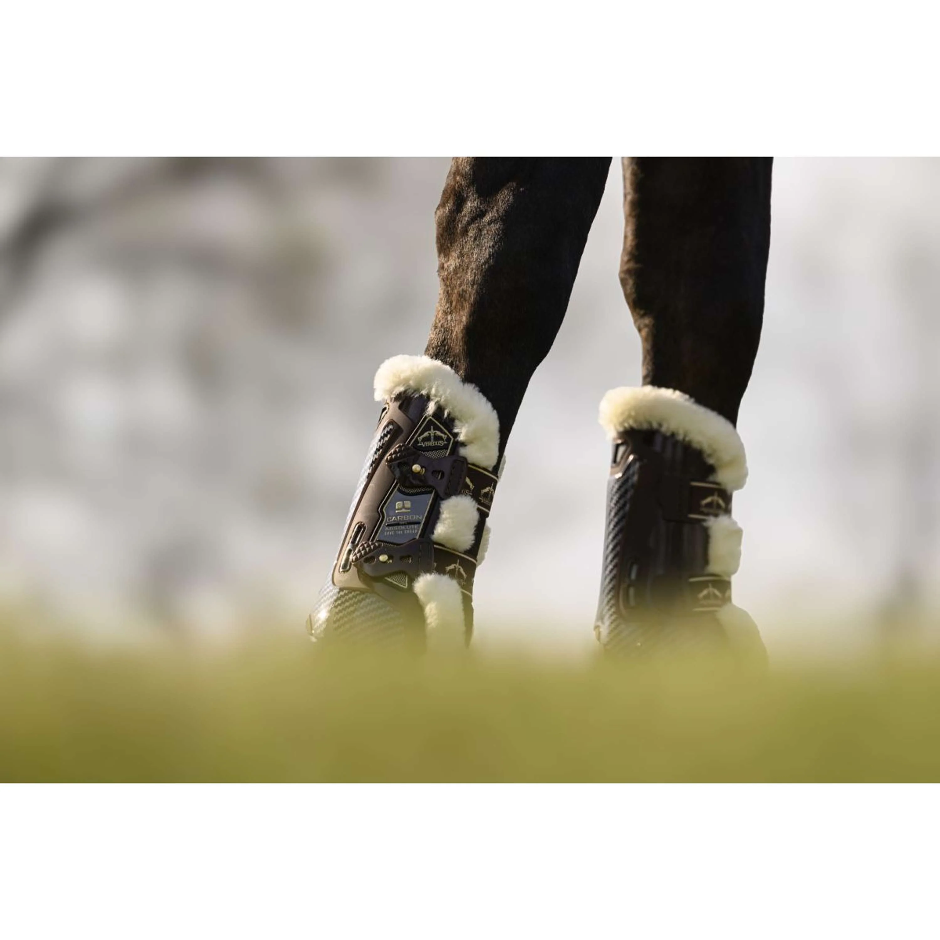 Veredus Protèges-Tendons Carbon Gel Absolute Save the Sheep Front Marron - Image 9