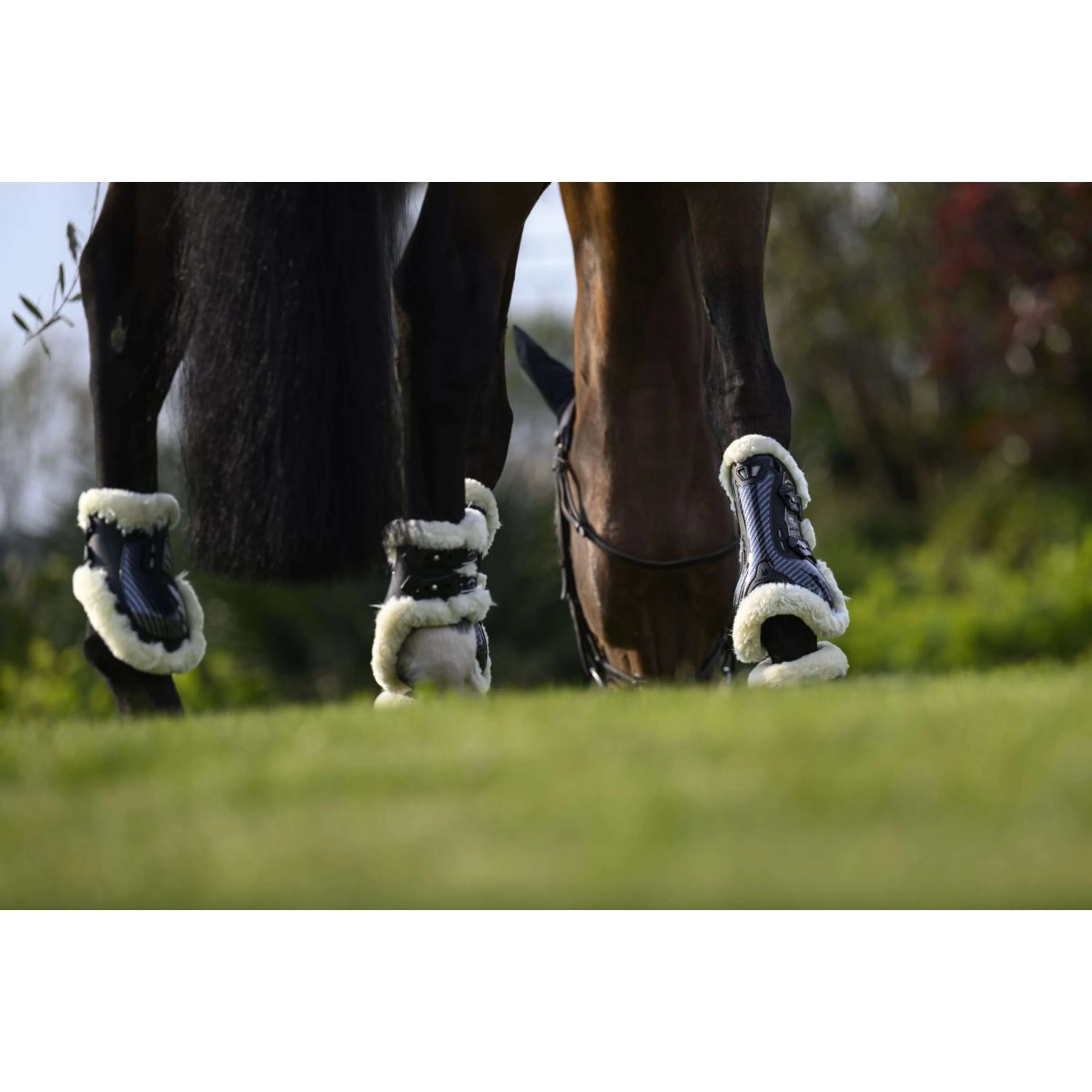 Veredus Protèges-Tendons Carbon Gel Absolute Save the Sheep Front Noir - Image 8