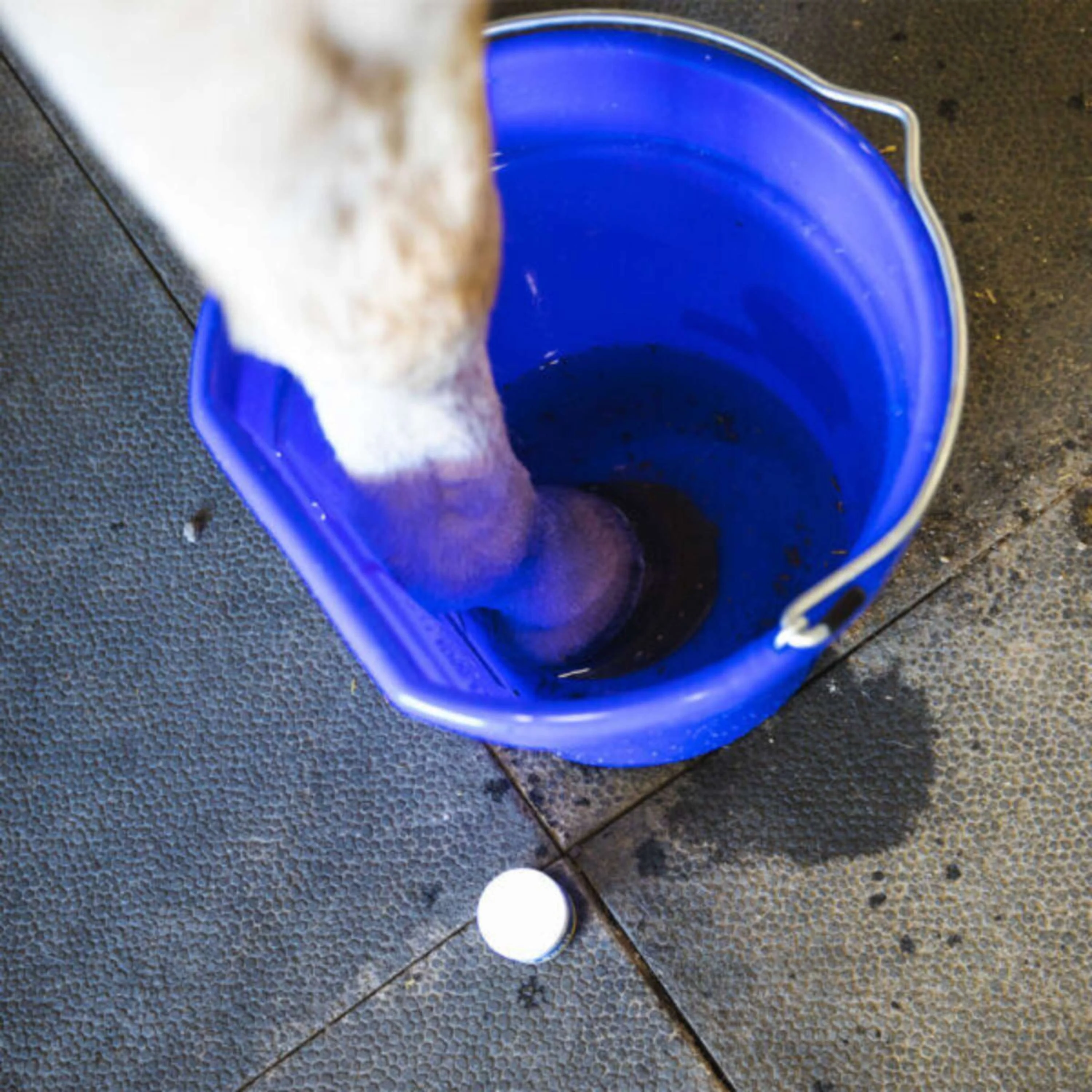Vetericyn Hoof Soak - Image 3