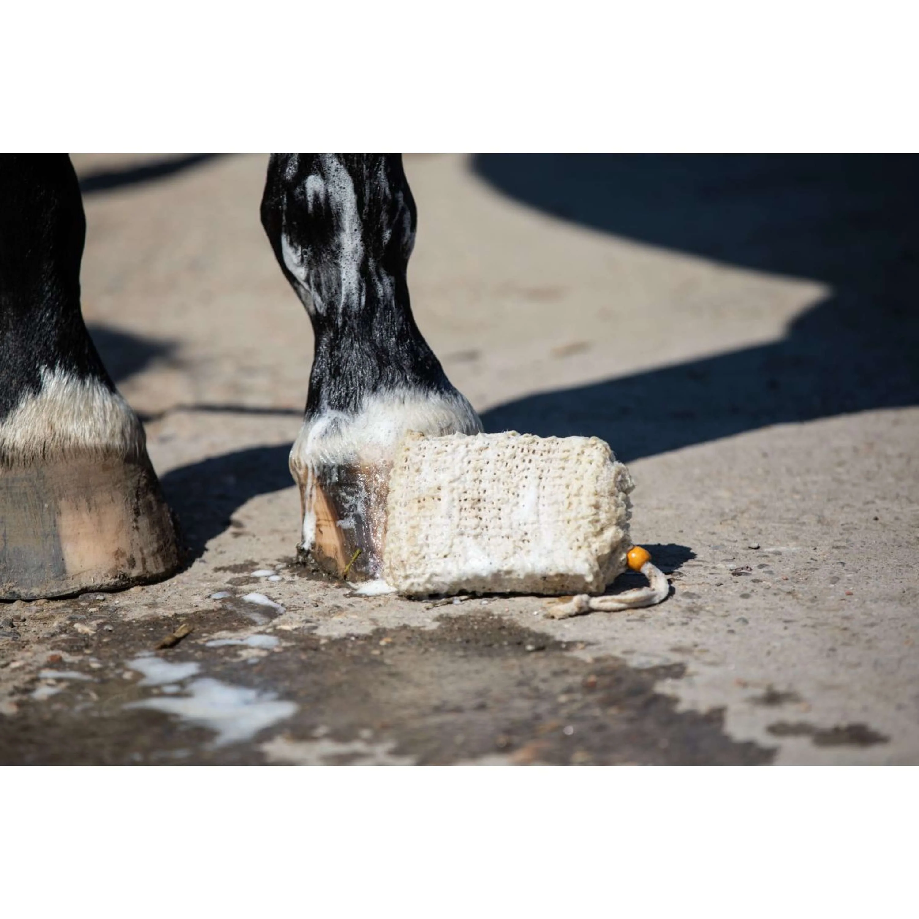 Vitalstyle Barre de Shampooing Itch & Oats - Image 4