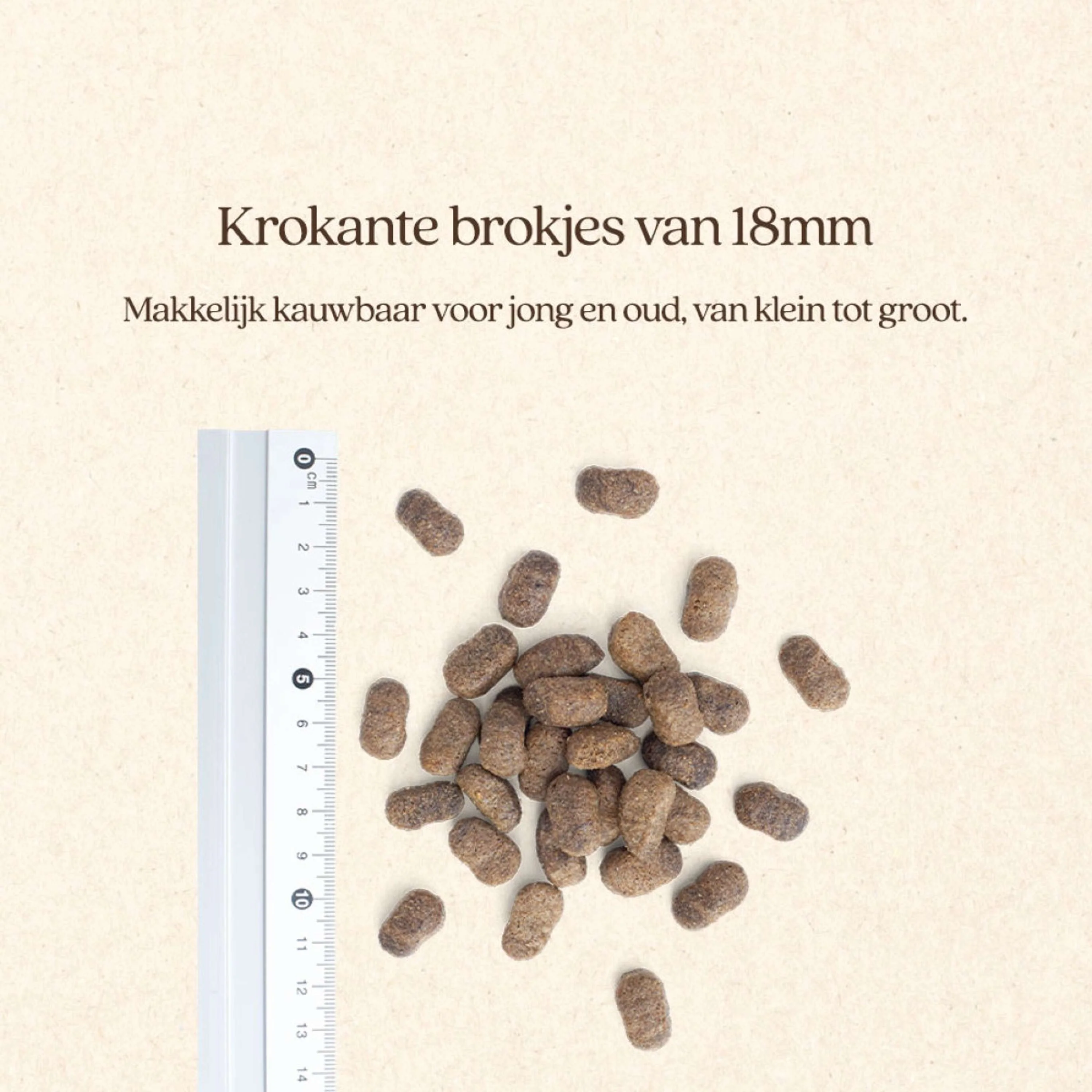 Vitalstyle Chien Adult - Image 3