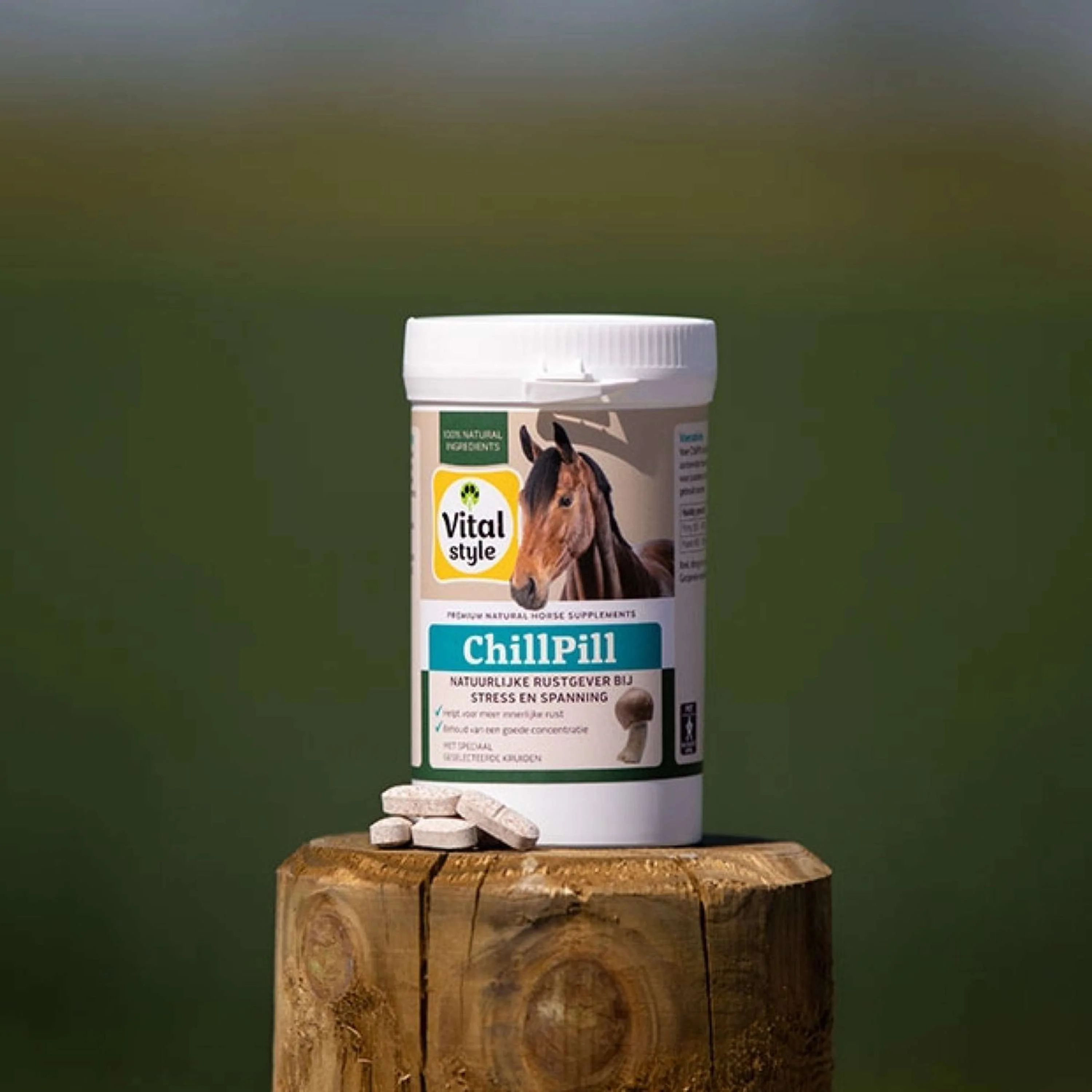 Vitalstyle ChillPill Cheval - Image 2