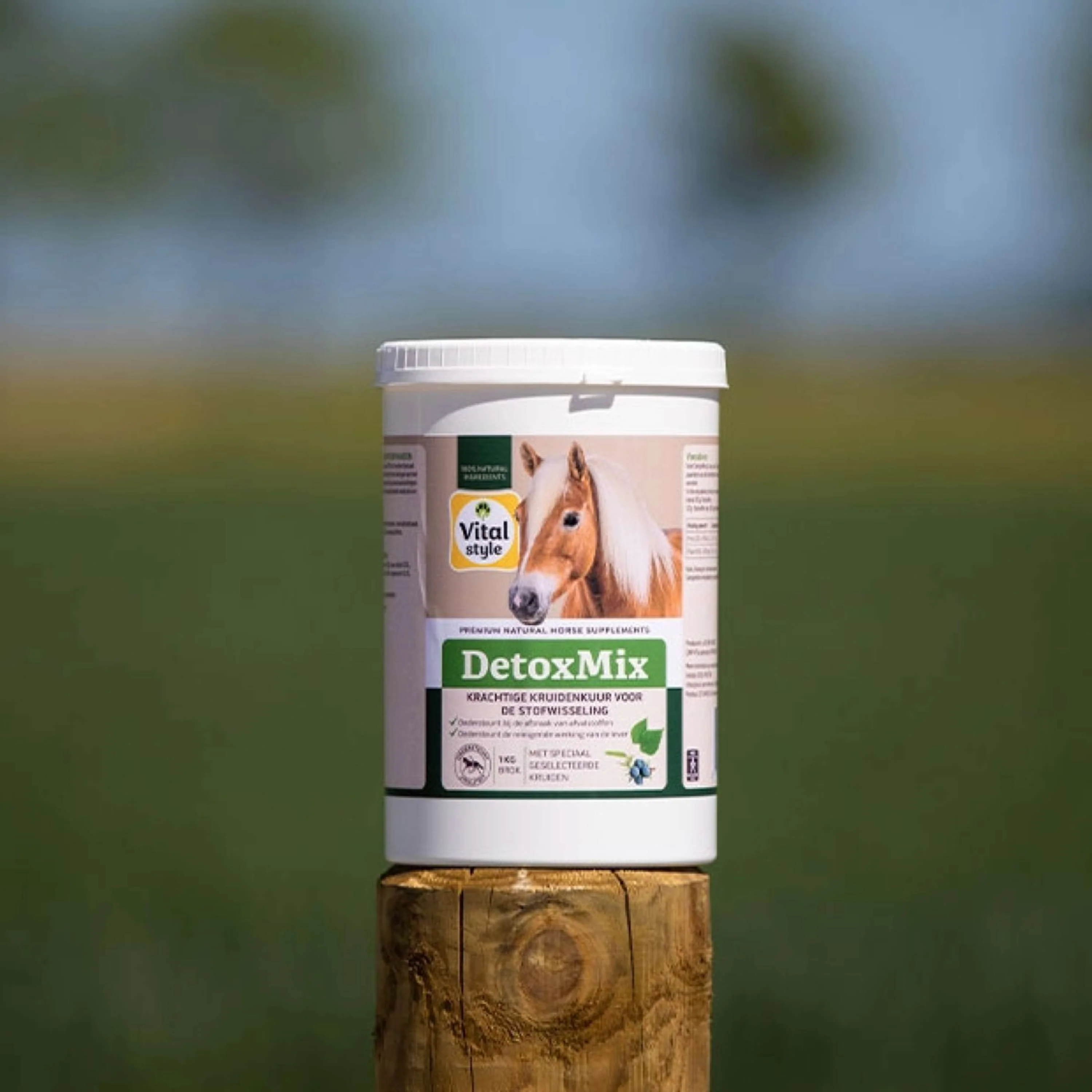 Vitalstyle DetoxMix - Image 2