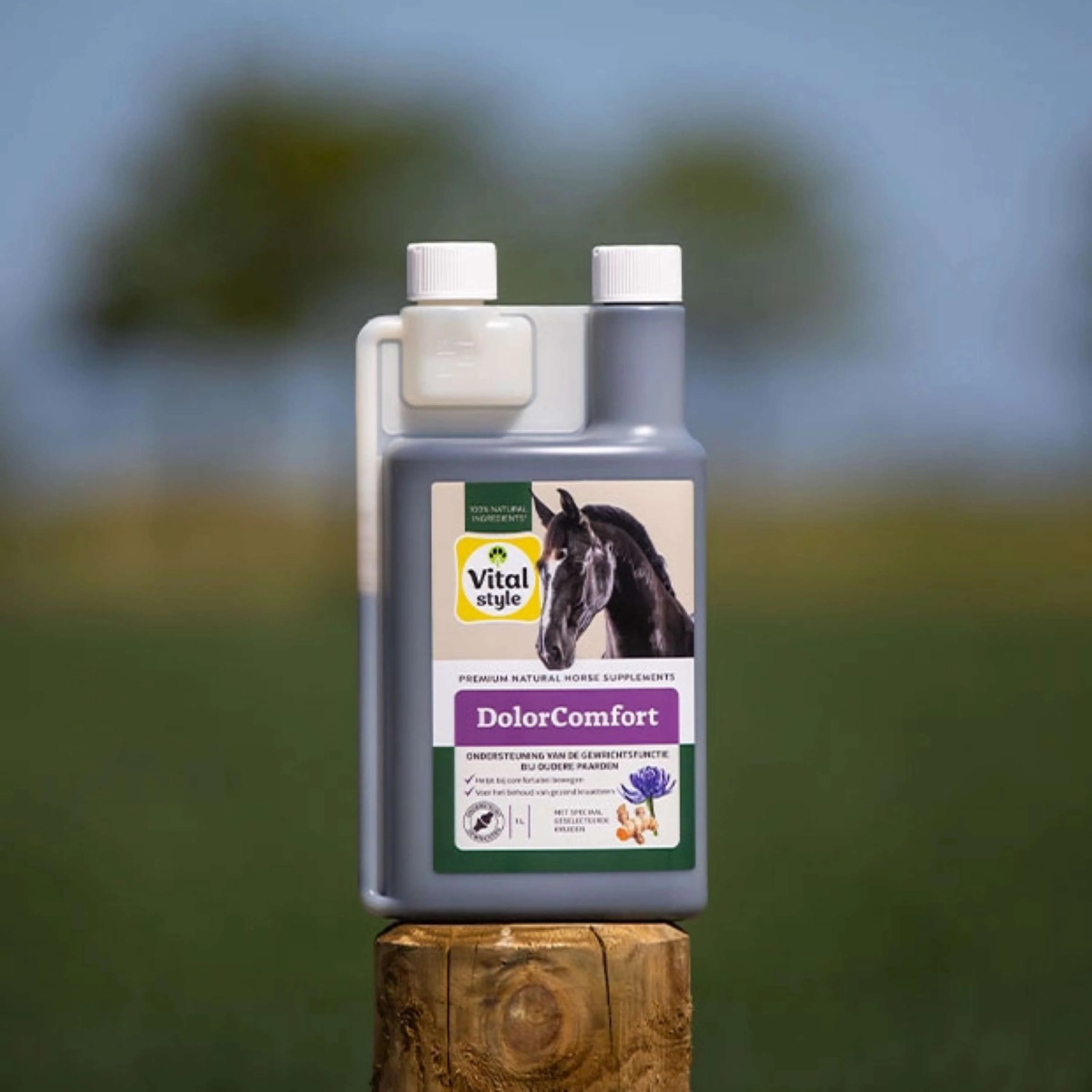 Vitalstyle DolorComfort - Image 2