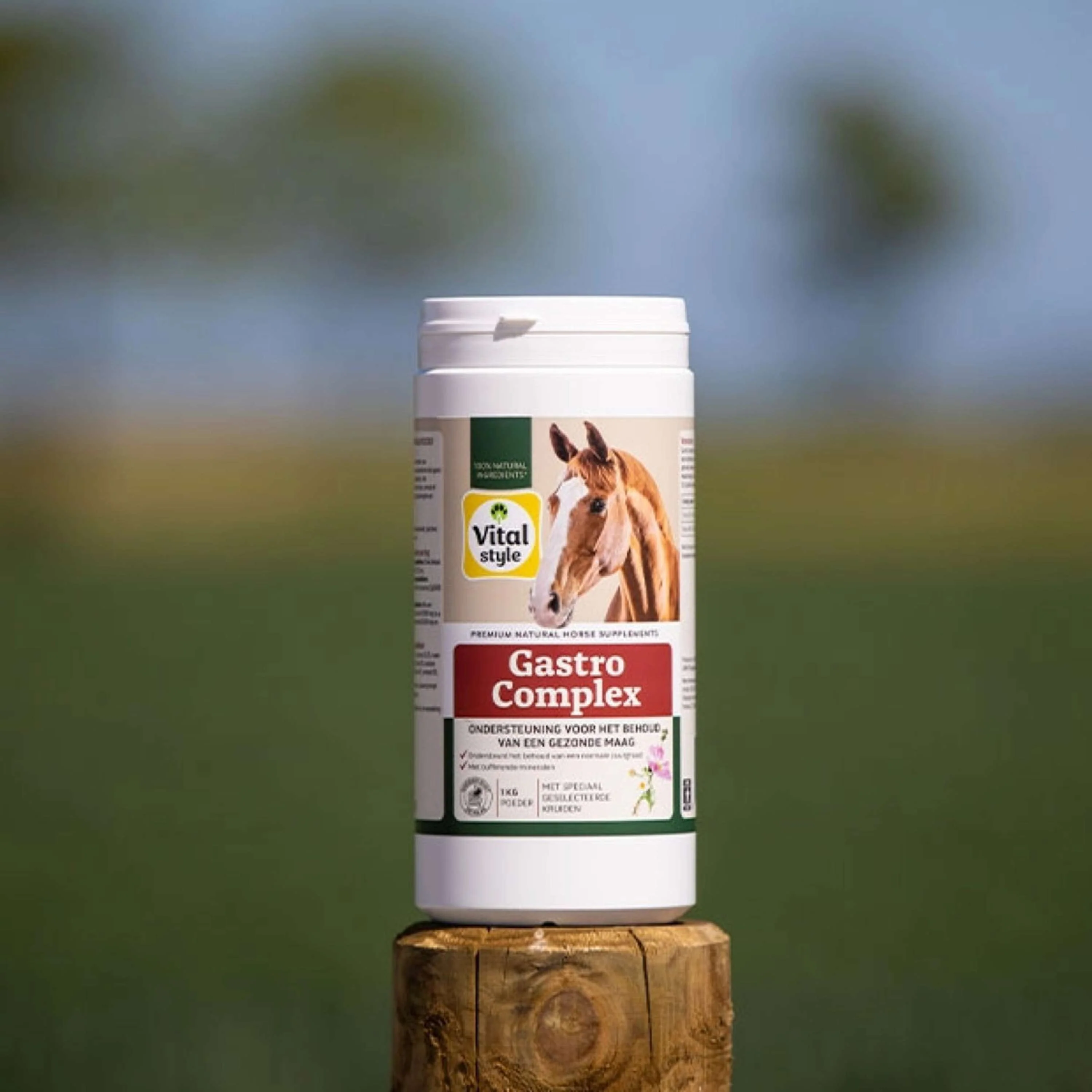 Vitalstyle GastroComplex - Image 2