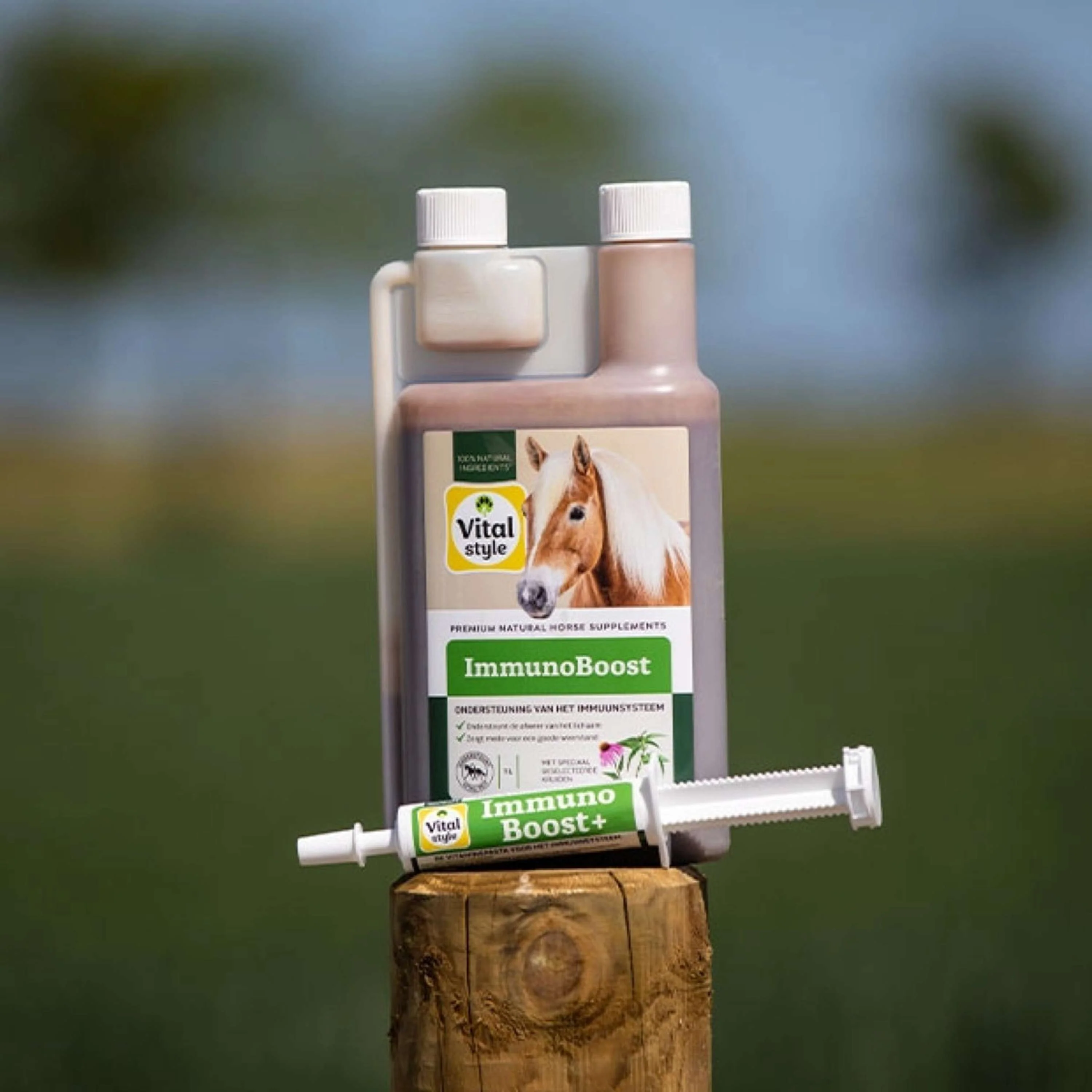Vitalstyle ImmunoBoost+ - Image 3