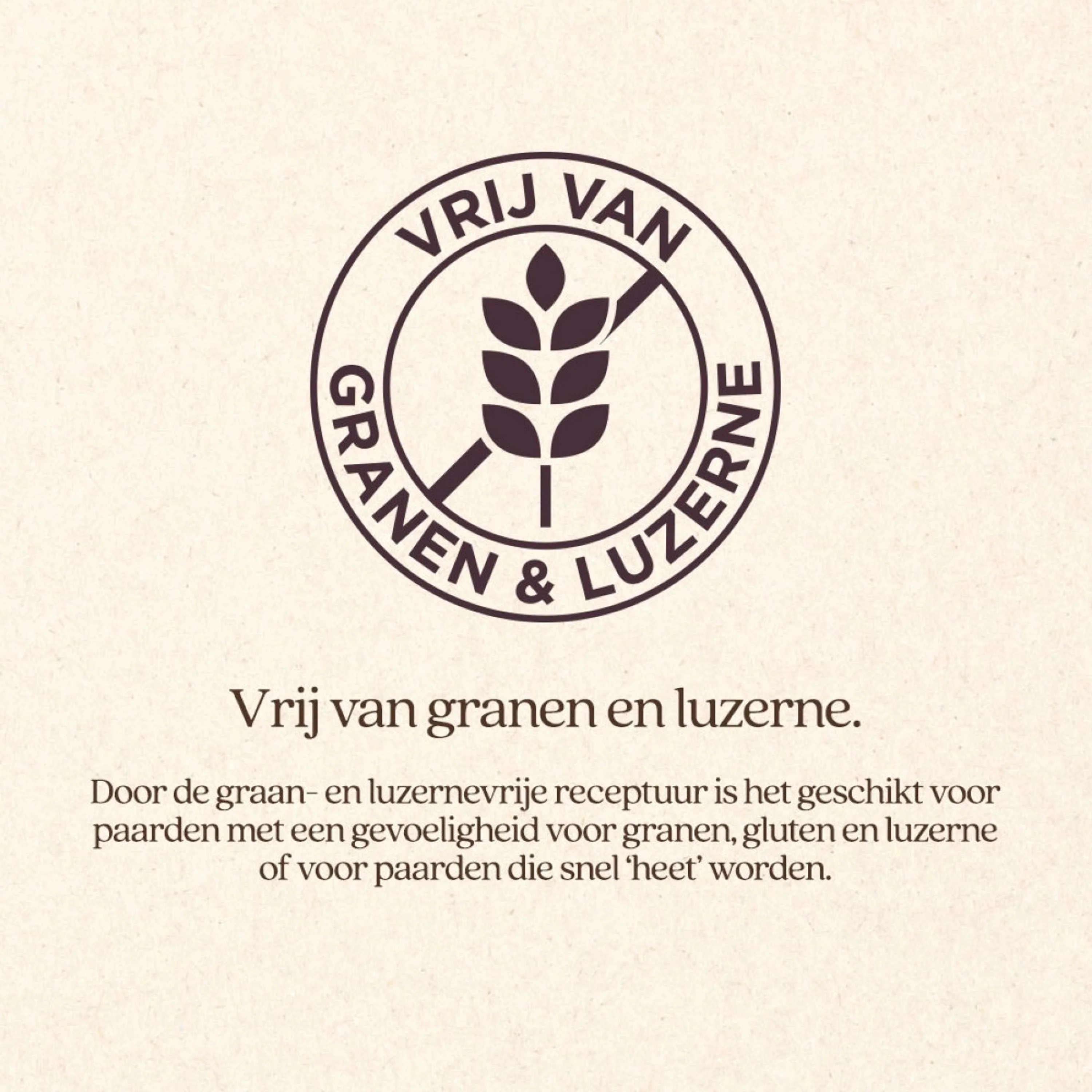 Vitalstyle Mélange de Fourrage Grossier Protein & Fiber - Image 6