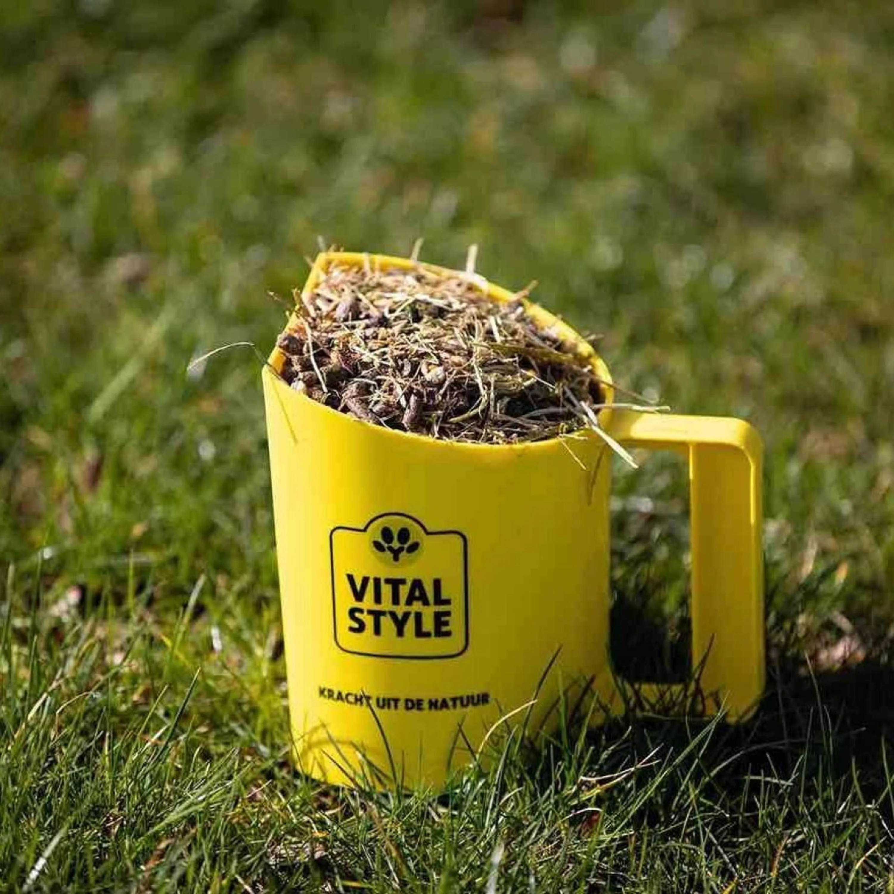 Vitalstyle Muesli Gut & Gastro - Image 3