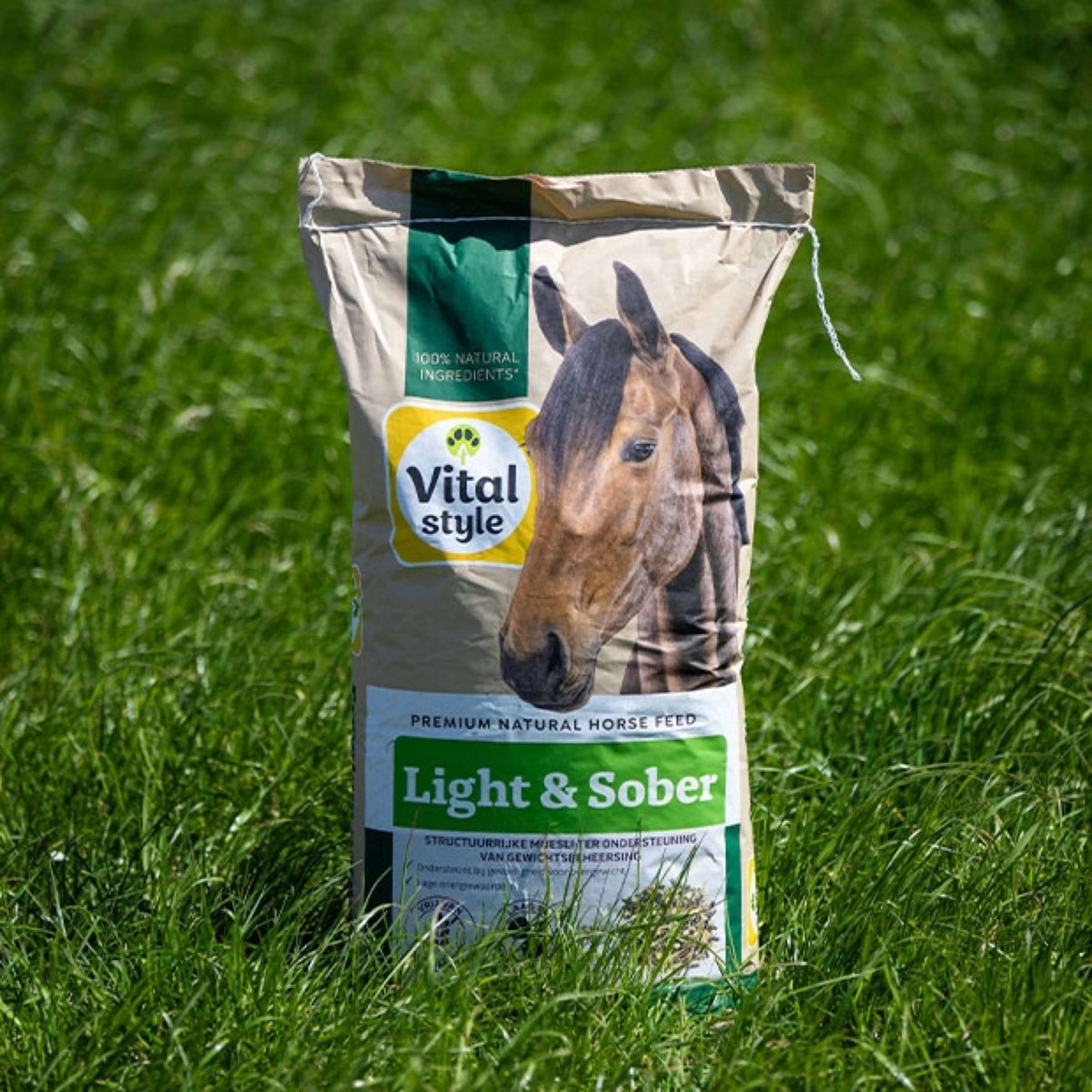 Vitalstyle Muesli Light & Sober - Image 2