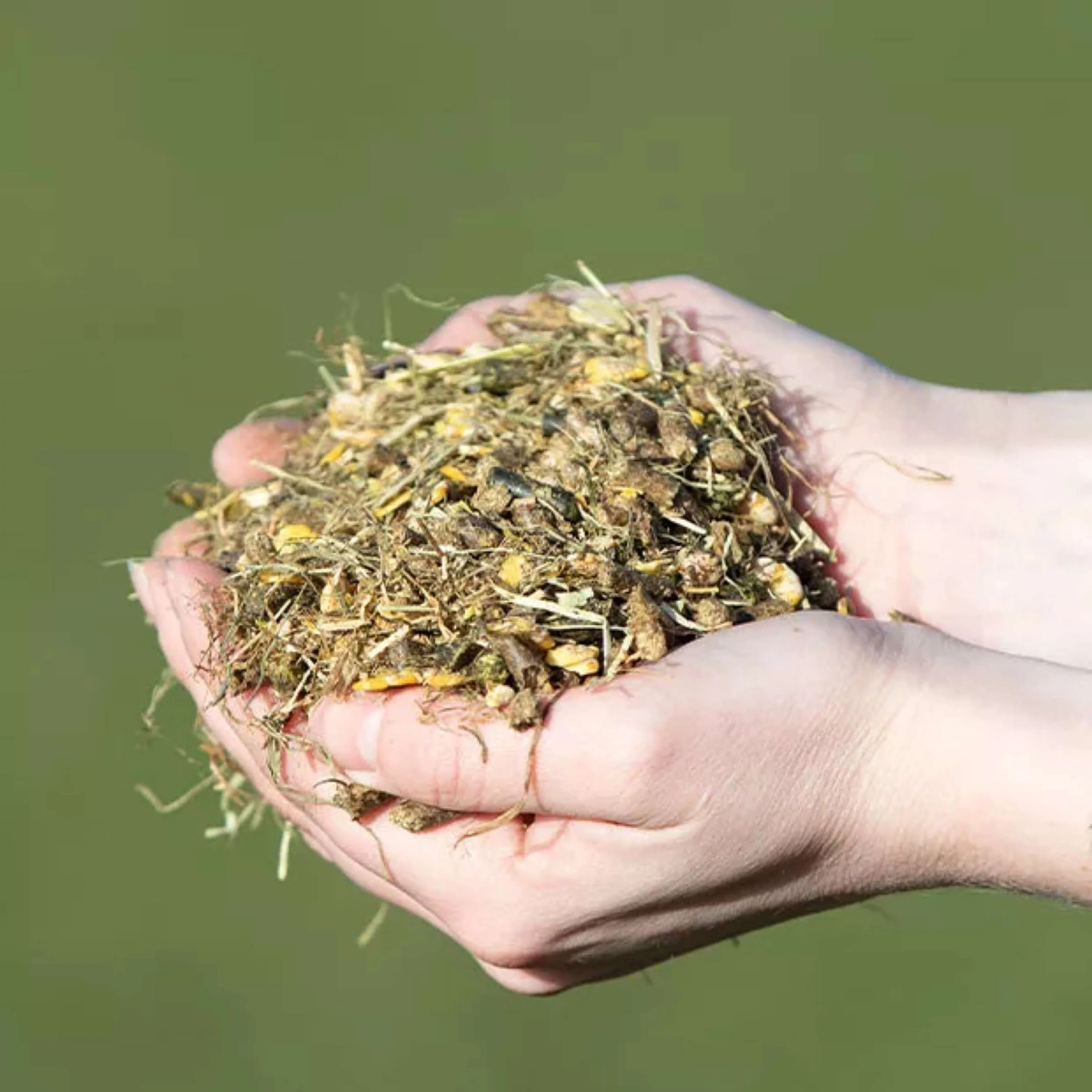 Vitalstyle Muesli Young & Breed - Image 3