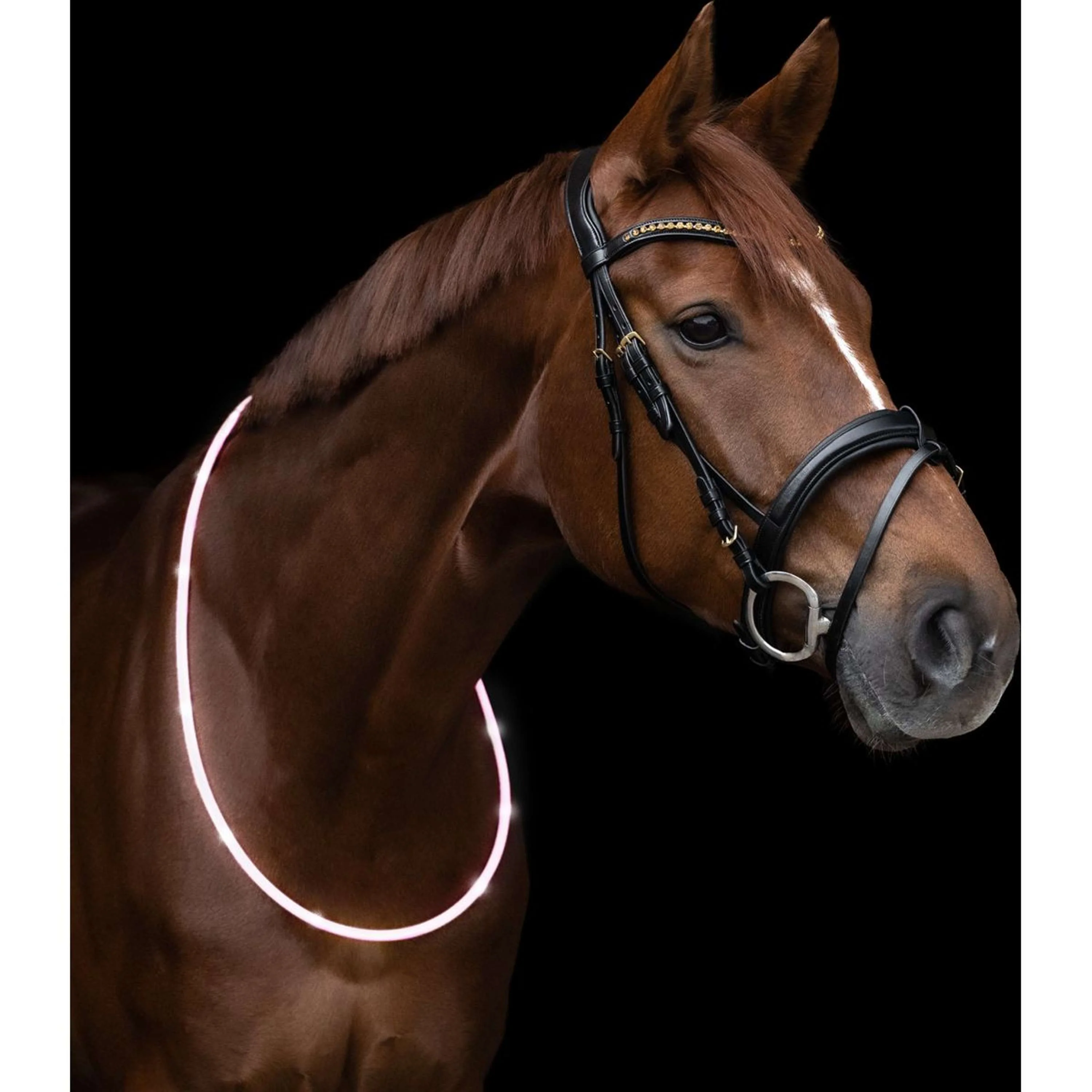 Waldhausen Anneau de Cou LED Blanc - Image 3