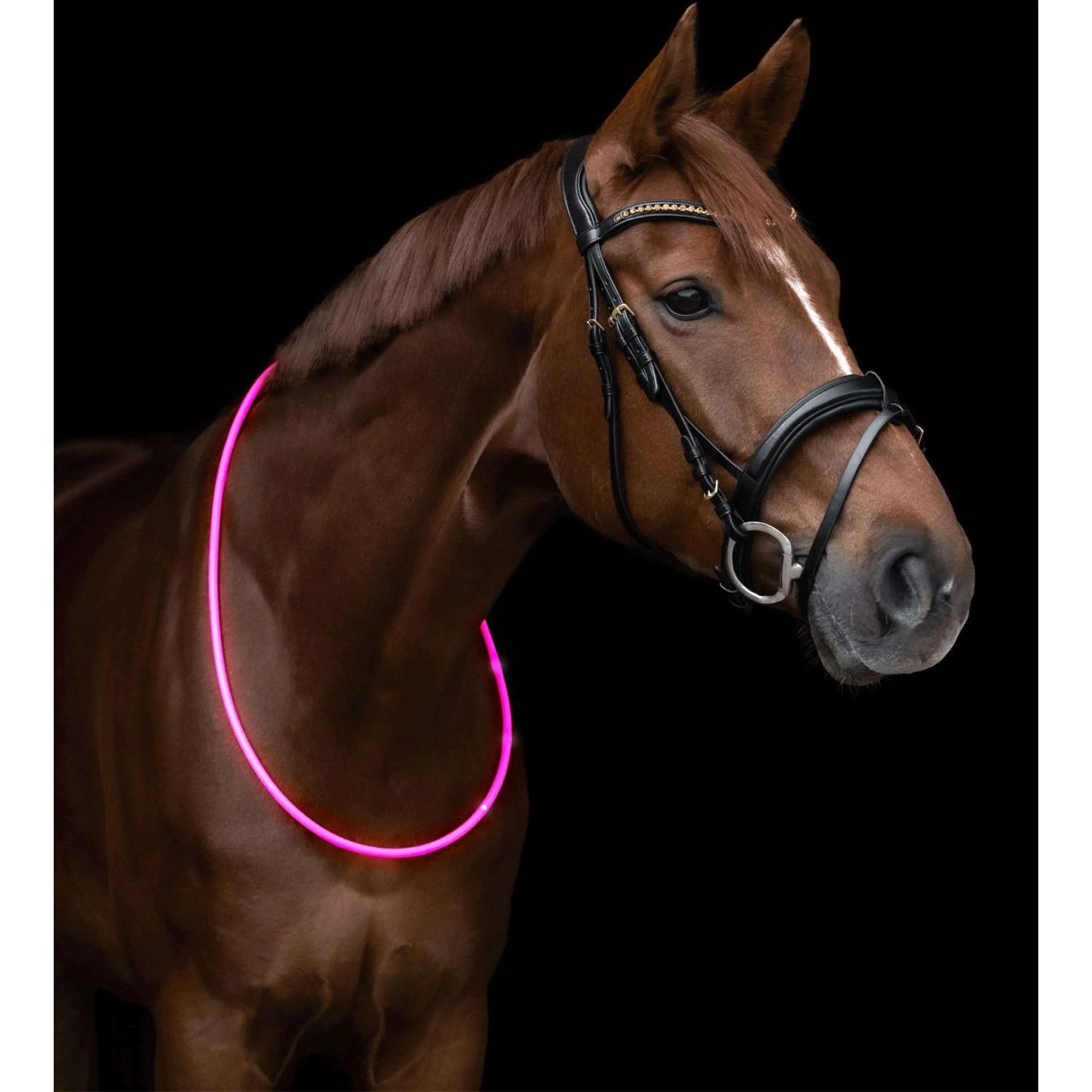 Waldhausen Anneau de Cou LED Rose - Image 3