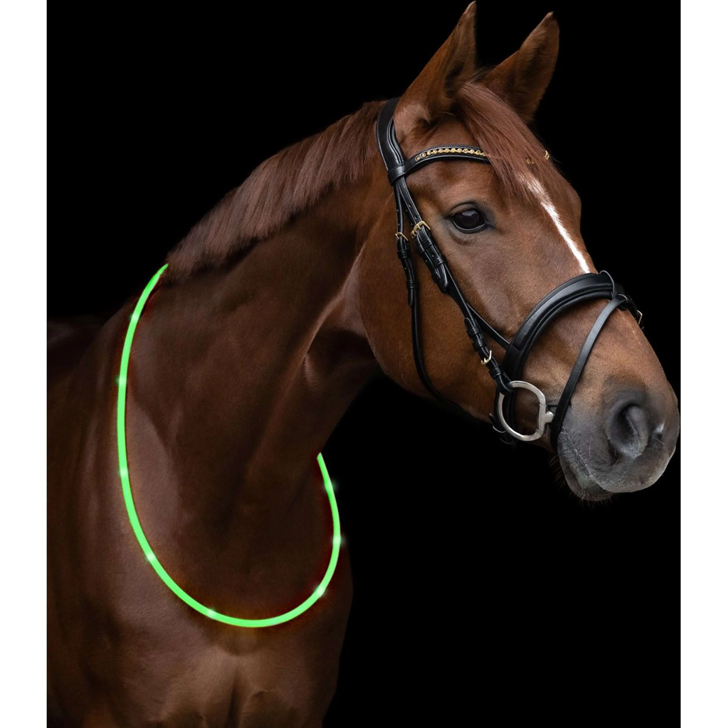 Waldhausen Anneau de Cou LED Vert - Image 3