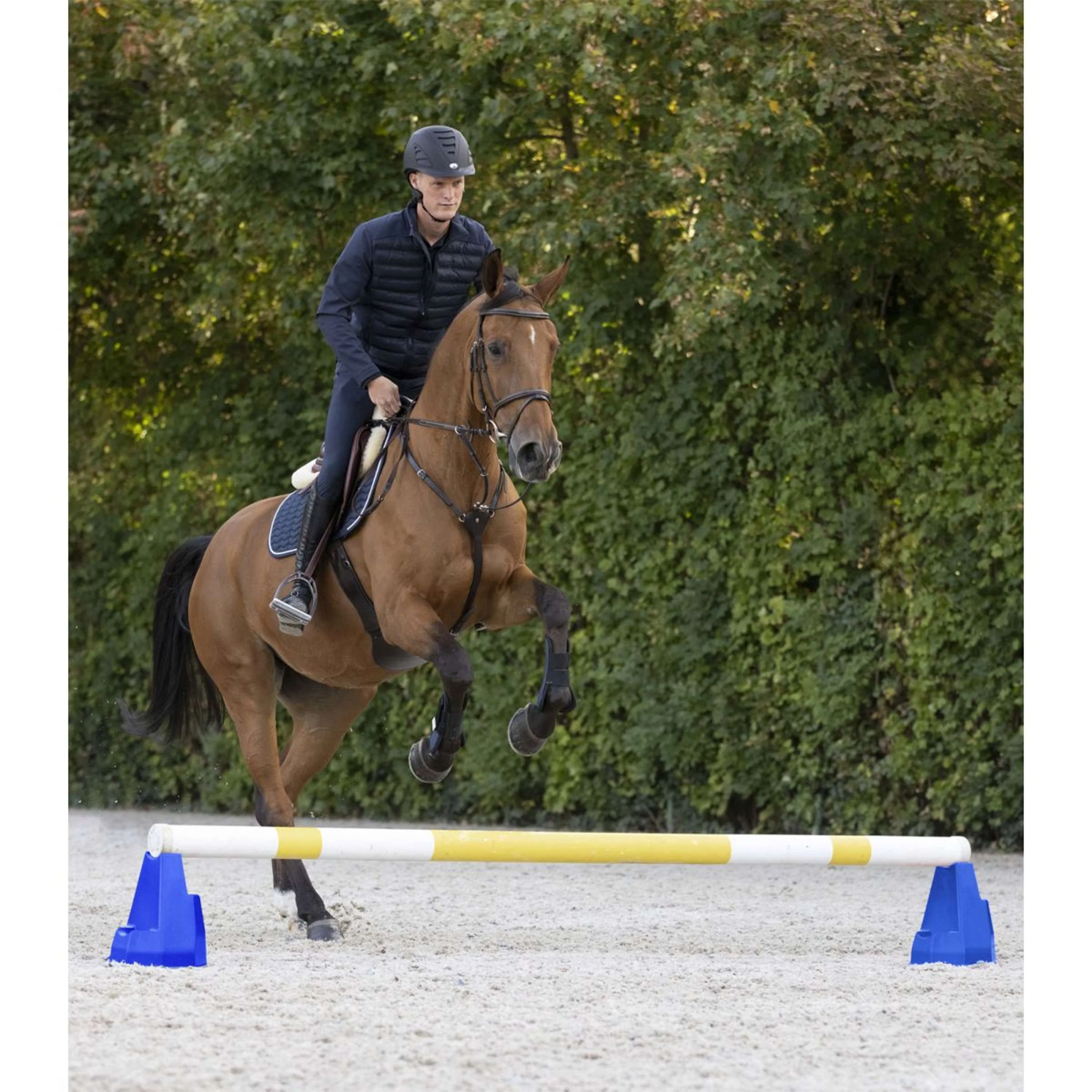 Waldhausen Bloc cavaletti Bleu - Image 2