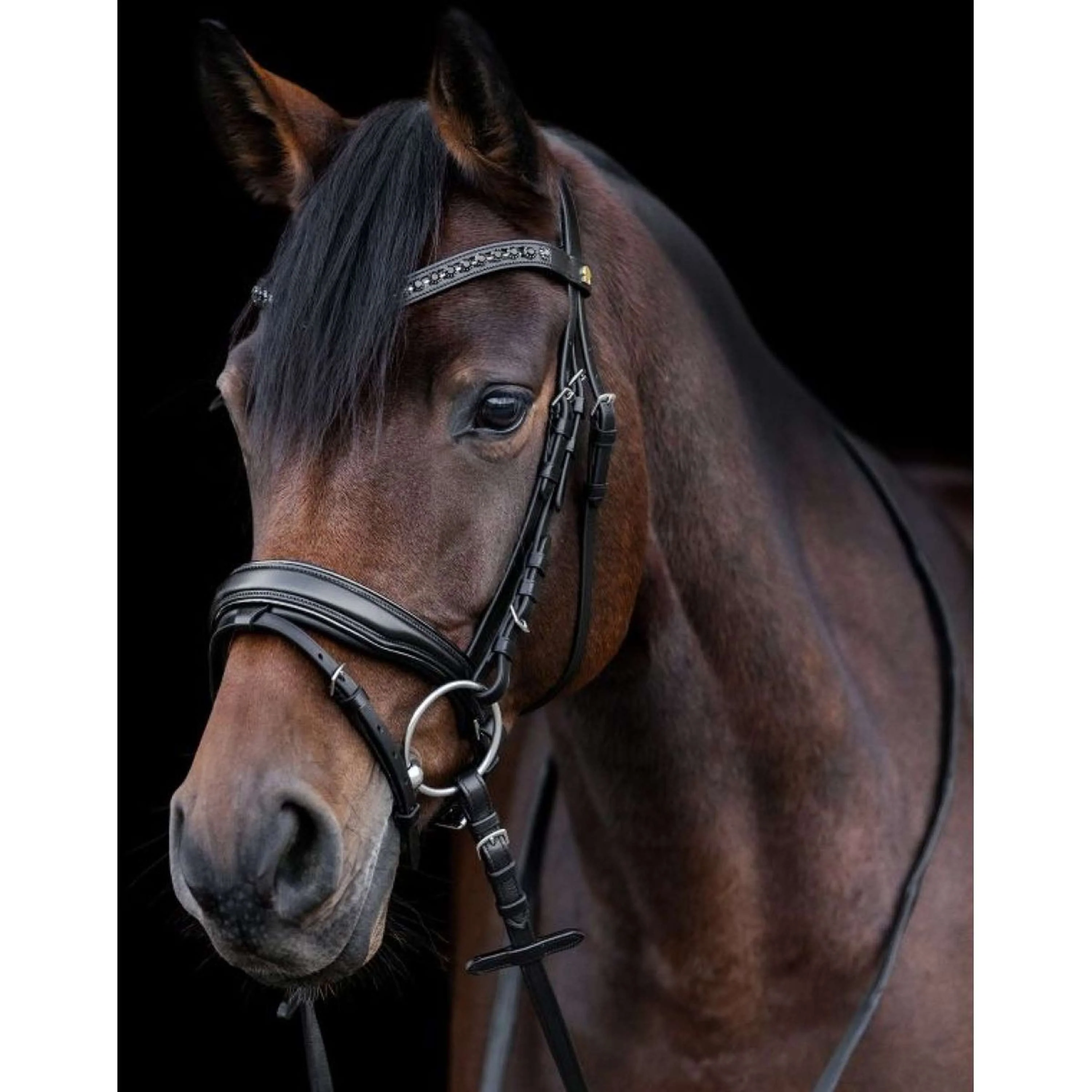 Waldhausen Bride S-Line Blackshine Noir - Image 4