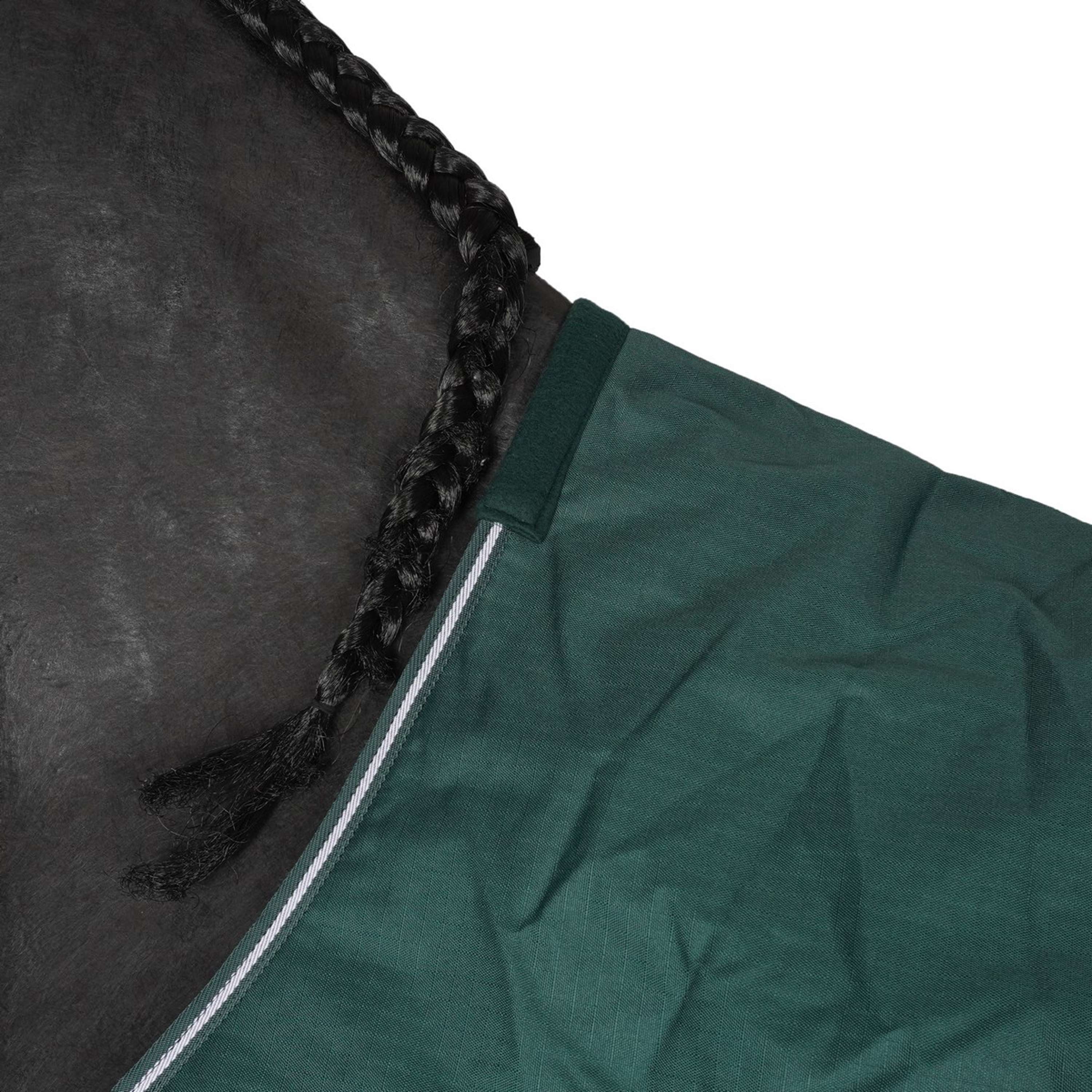 Waldhausen Chemise de Marcheur 100g Fir Green - Image 4