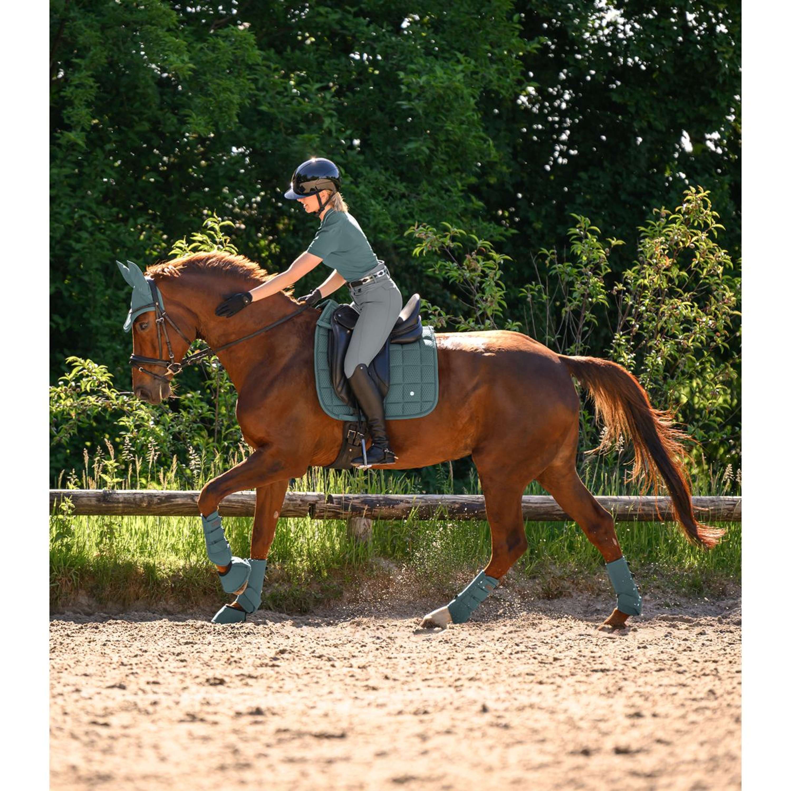 Waldhausen Cloches d'Obstacles Performance Pine Green - Image 7