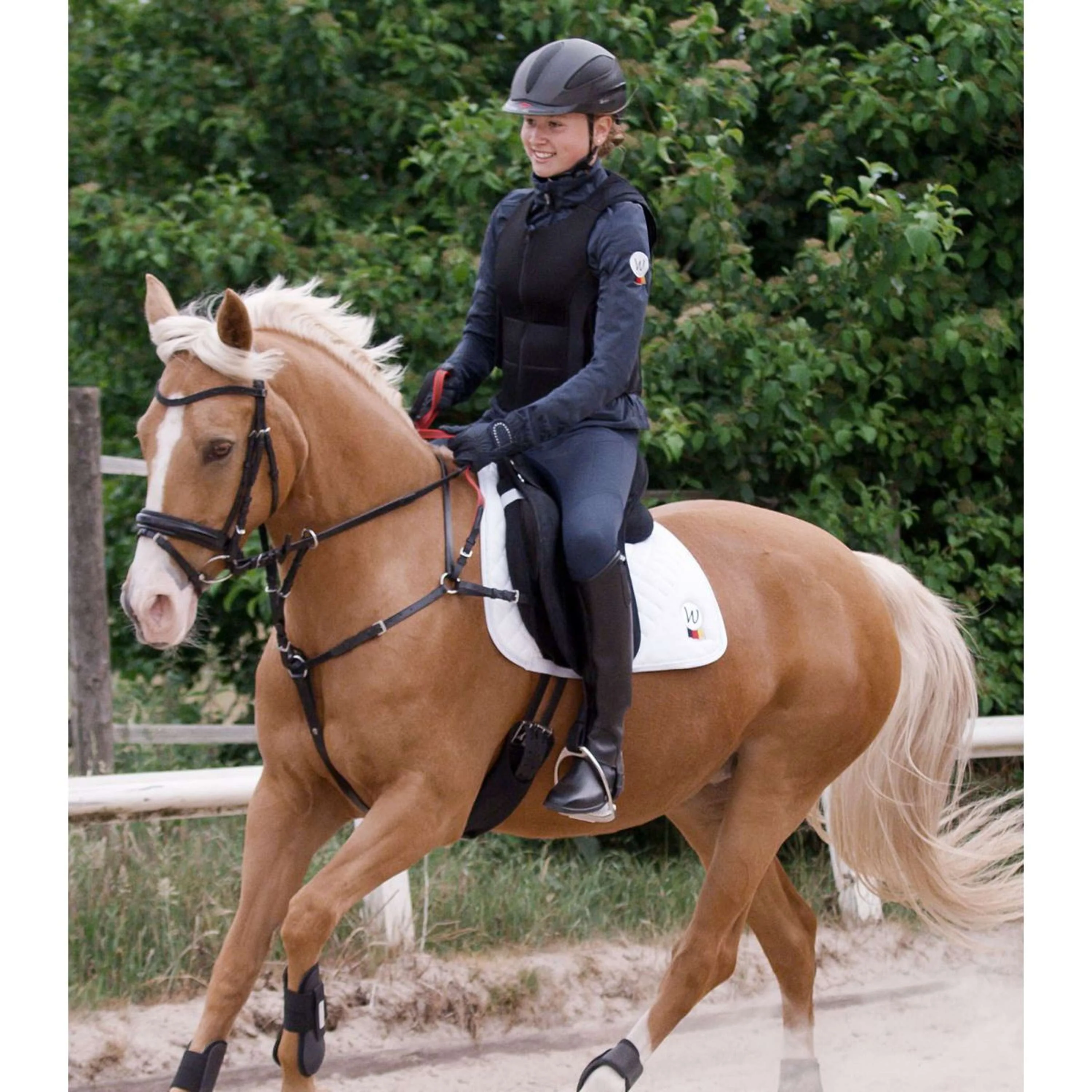 Waldhausen Collier de Chasse Secutrust avec Rêne de Sécurité Noir - Image 2