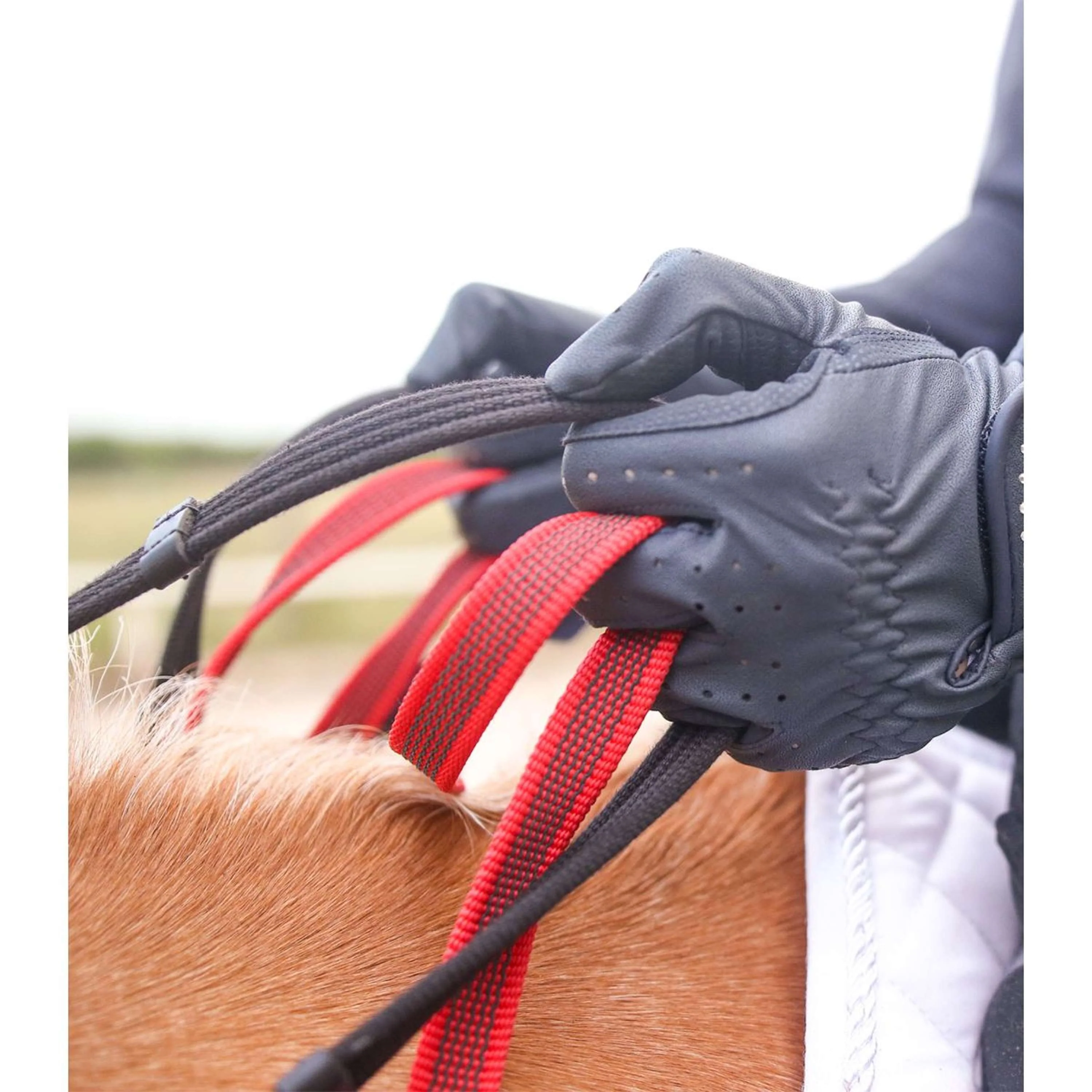 Waldhausen Collier de Chasse Secutrust avec Rêne de Sécurité Noir - Image 3