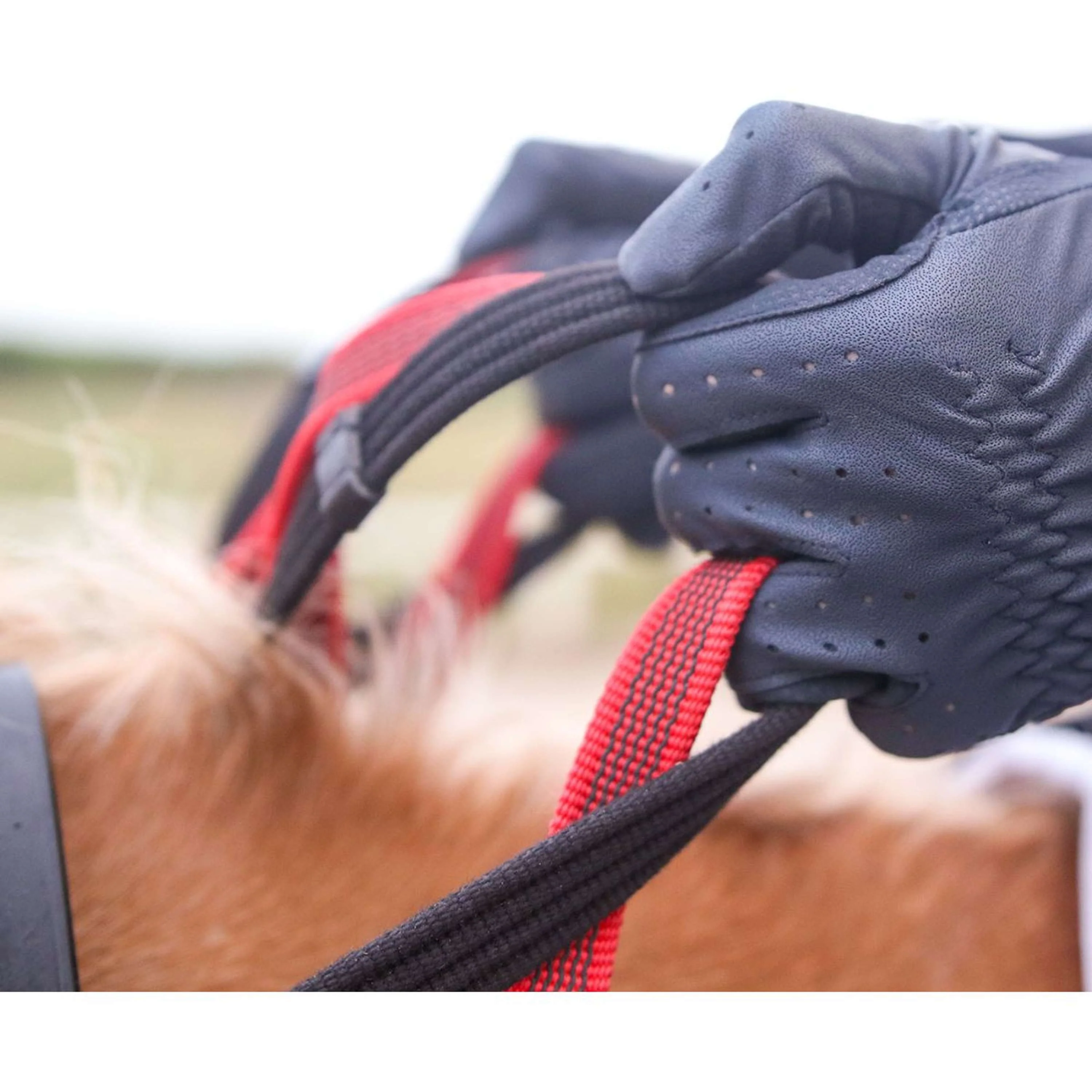 Waldhausen Collier de Chasse Secutrust avec Rêne de Sécurité Noir - Image 4