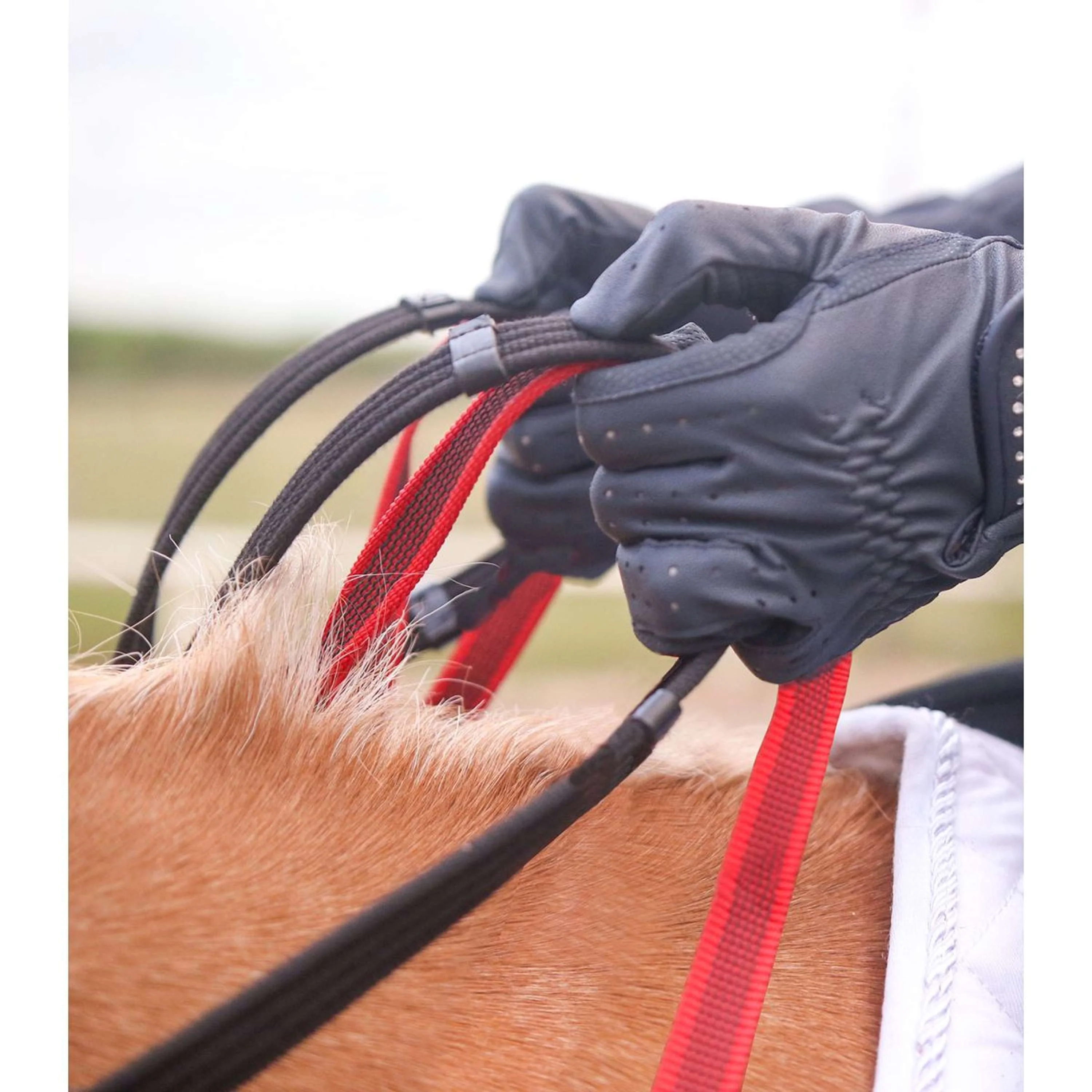 Waldhausen Collier de Chasse Secutrust avec Rêne de Sécurité Noir - Image 5