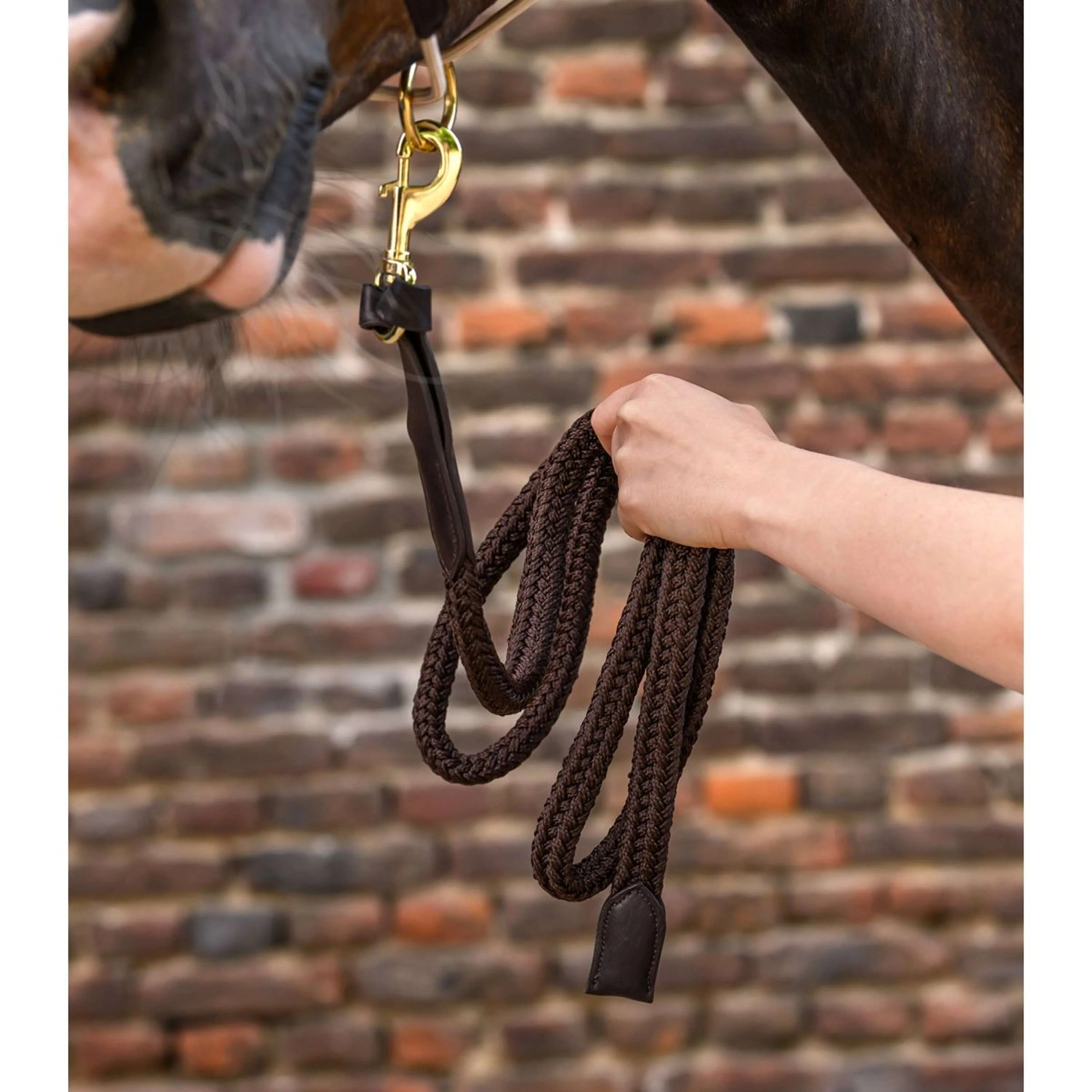 Waldhausen Corde pour Licol Royal avec Mousqueton Marron - Image 2