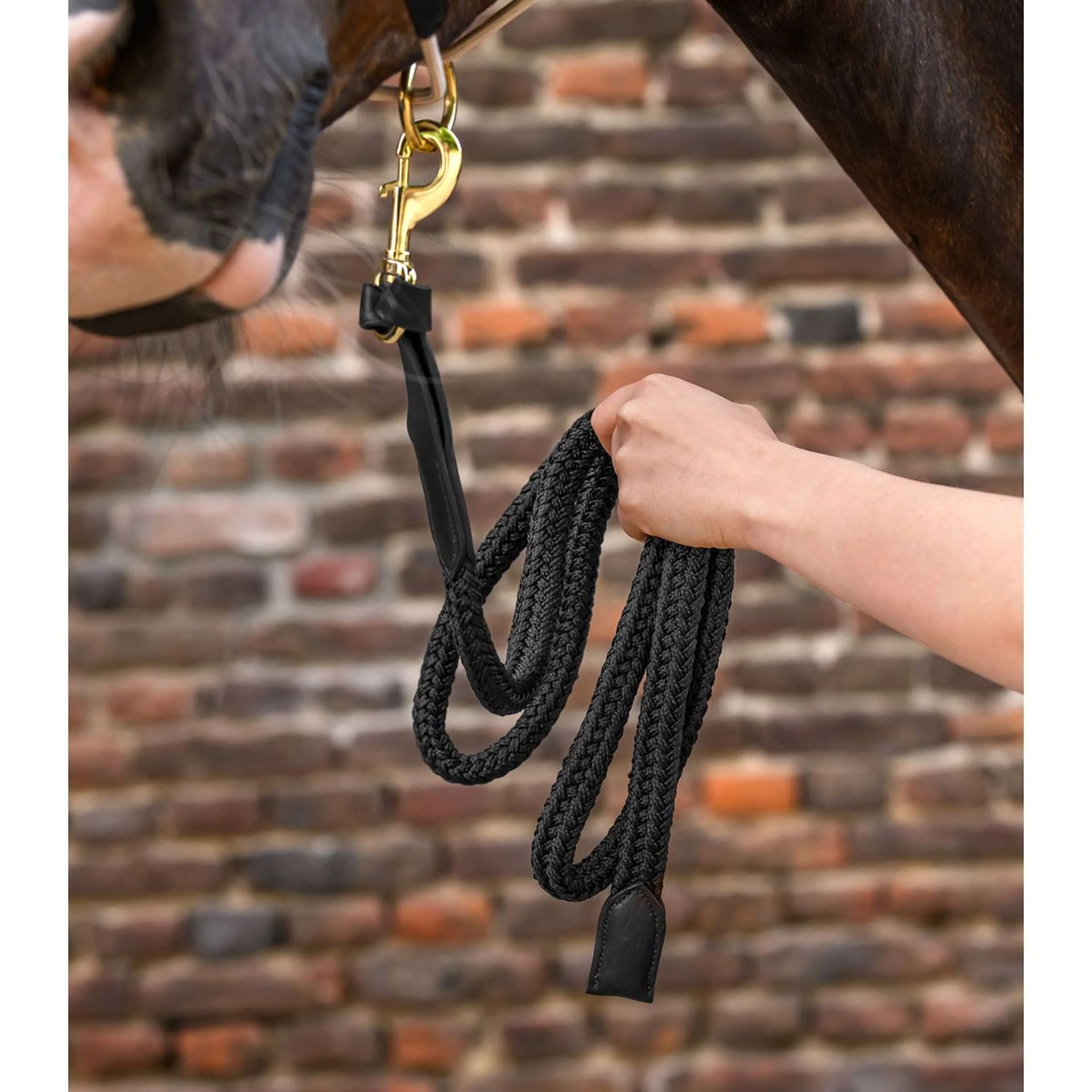 Waldhausen Corde pour Licol Royal avec Mousqueton Noir - Image 2