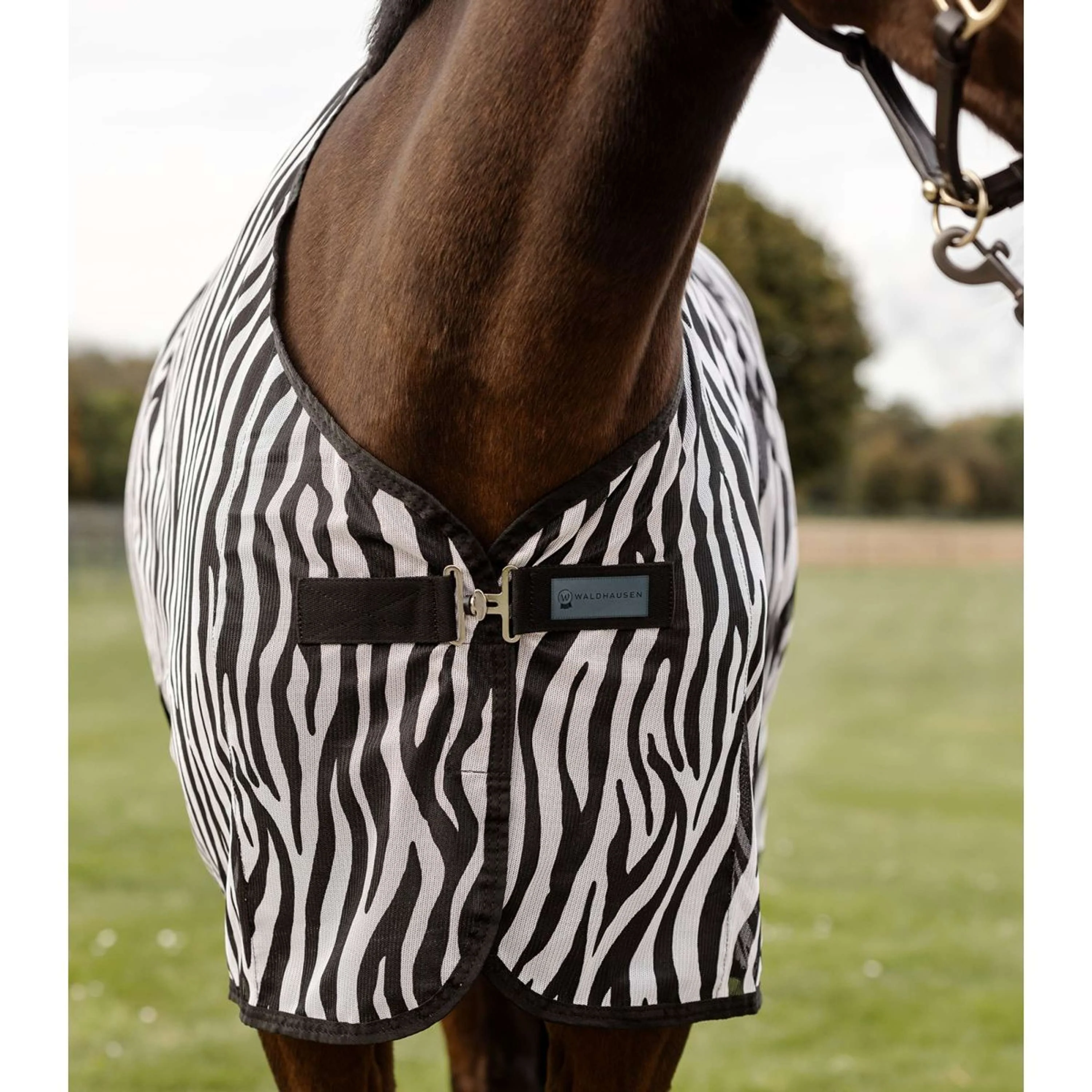 Waldhausen Couverture Anti-Mouches 2.0 Zebra - Image 2