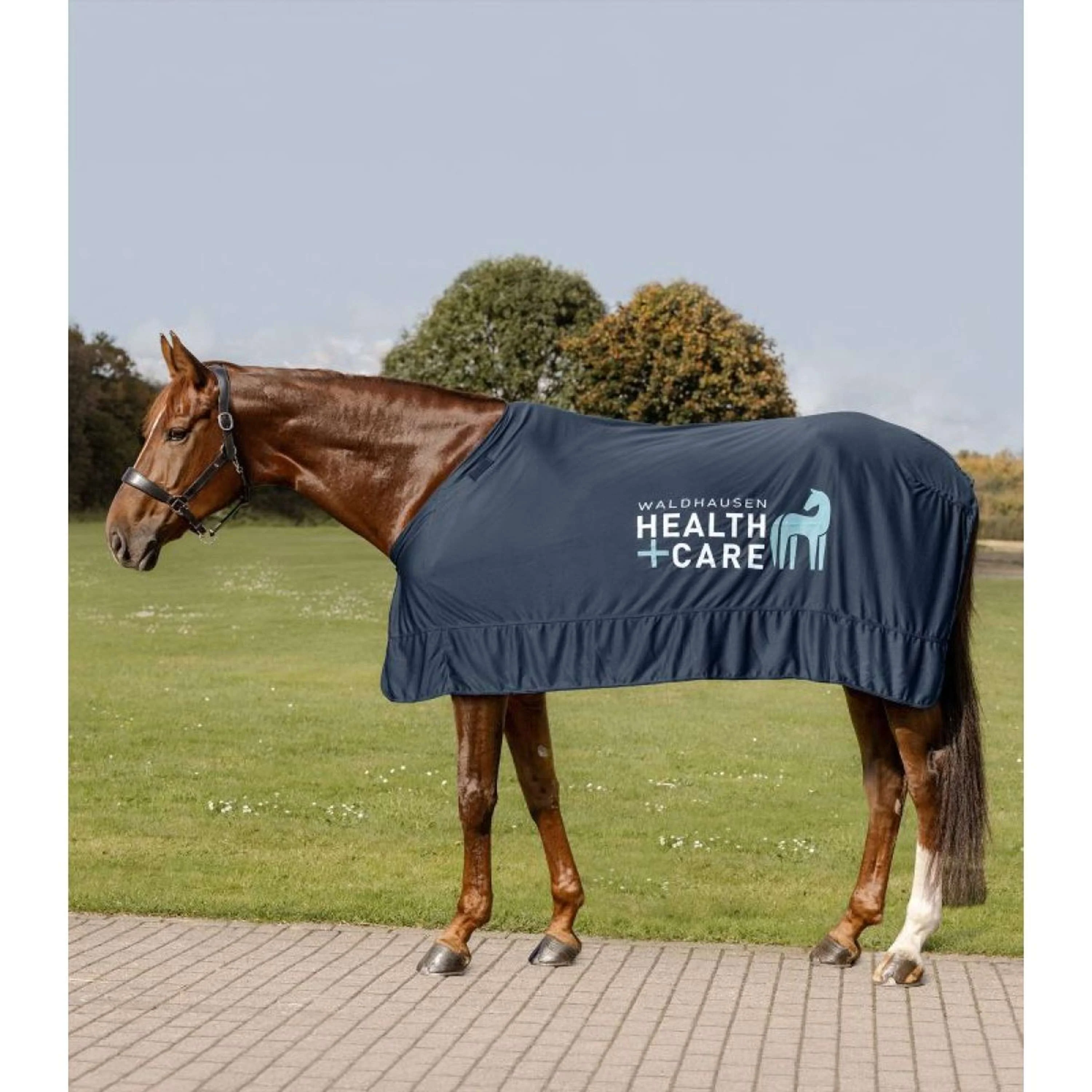 Waldhausen Health + Care Couverture Rafraîchissante Ice Layer Bleu Nuit - Image 2