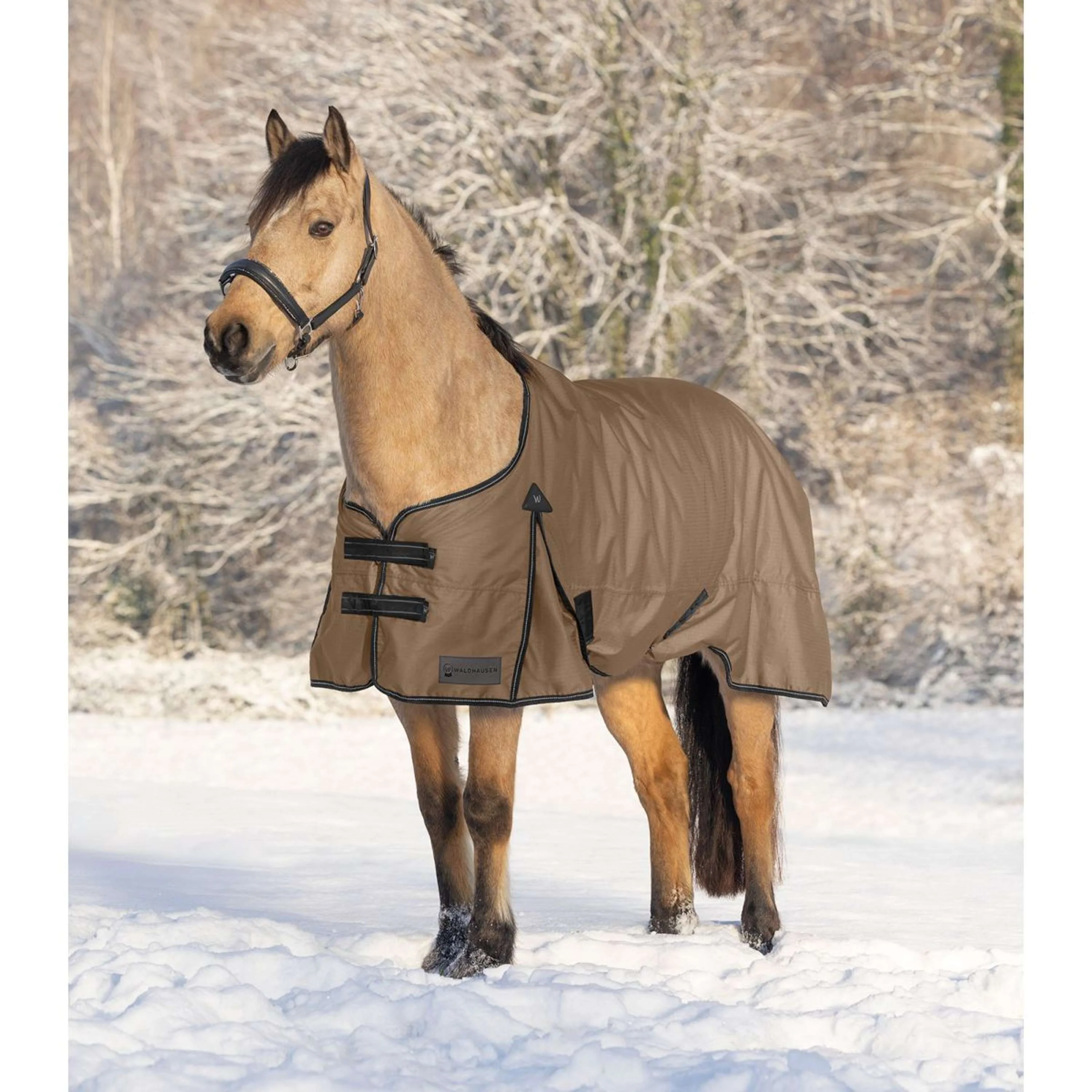 Waldhausen Couverture d'Extérieur Arctic 200g Cappuccino/Noir - Image 2
