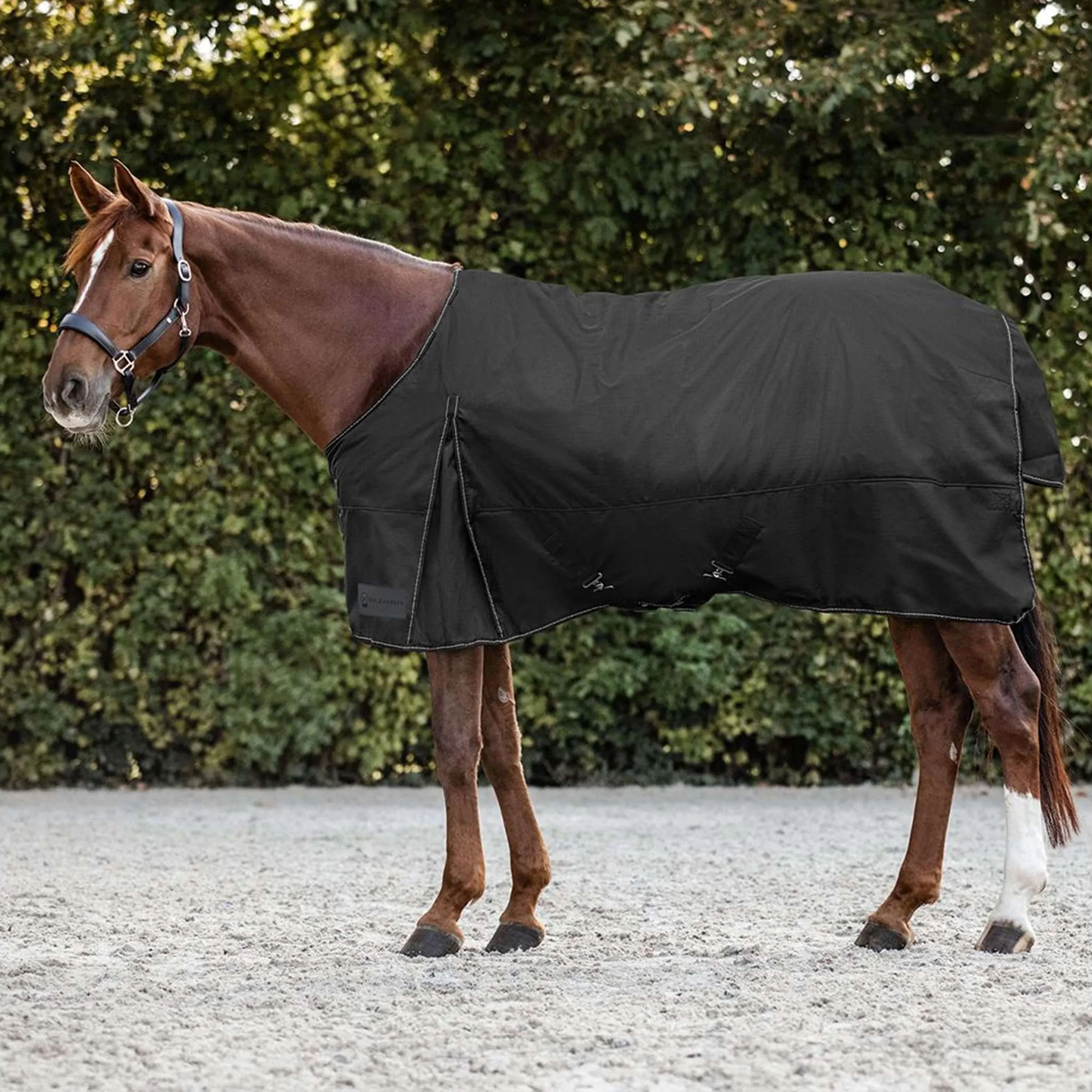 Waldhausen Couverture d'Extérieur Nordic 300g Noir - Image 5