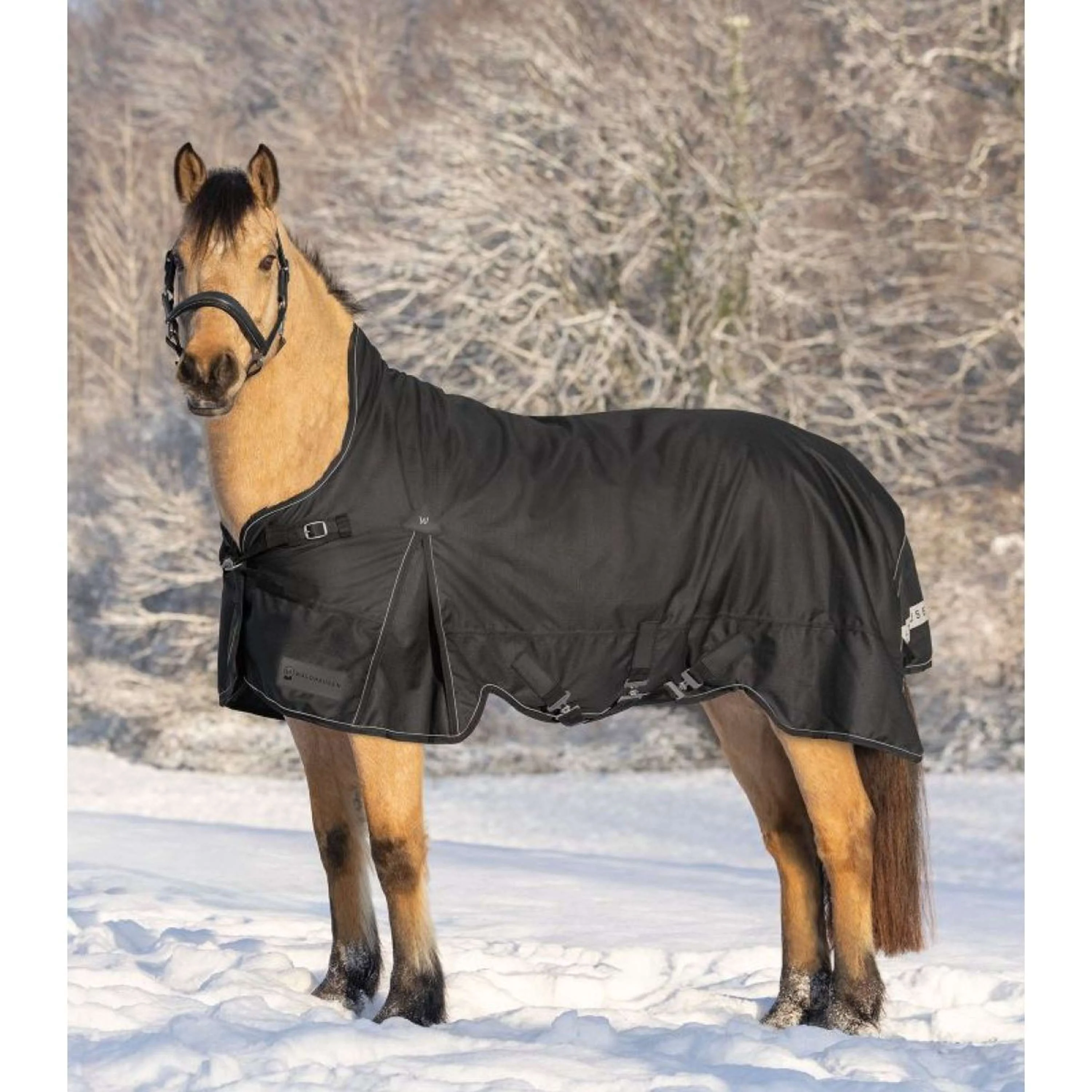 Waldhausen Couverture d'Extérieur Scandic High Neck 100g Noir - Image 2