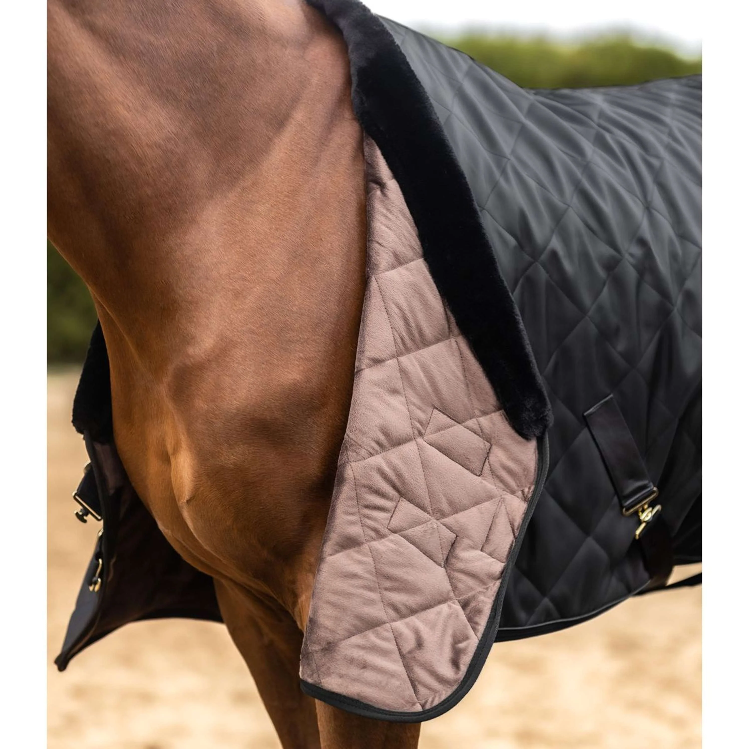Waldhausen Couverture Transport Exclusive Noir - Image 3