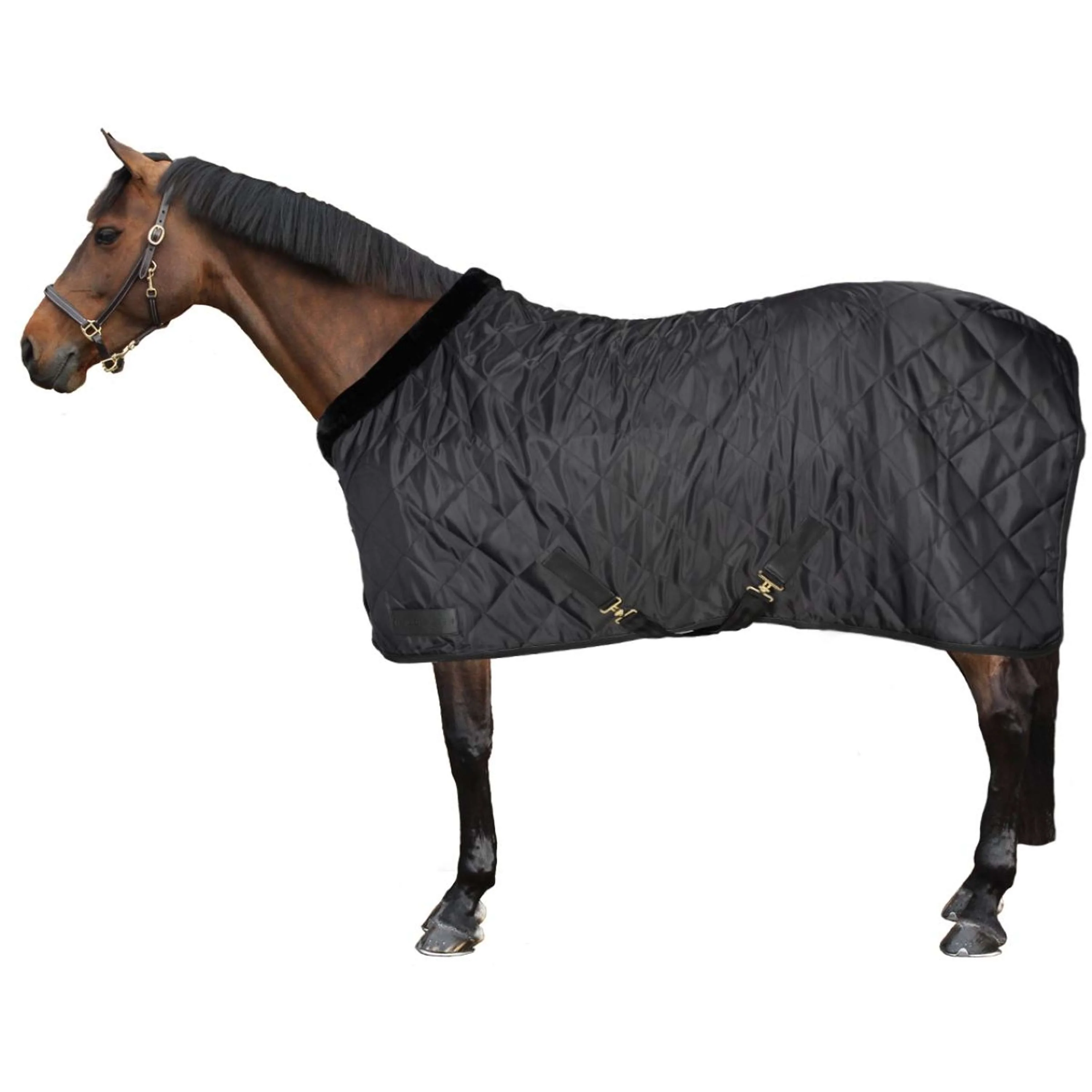 Waldhausen Couverture Transport Exclusive Noir - Image 4