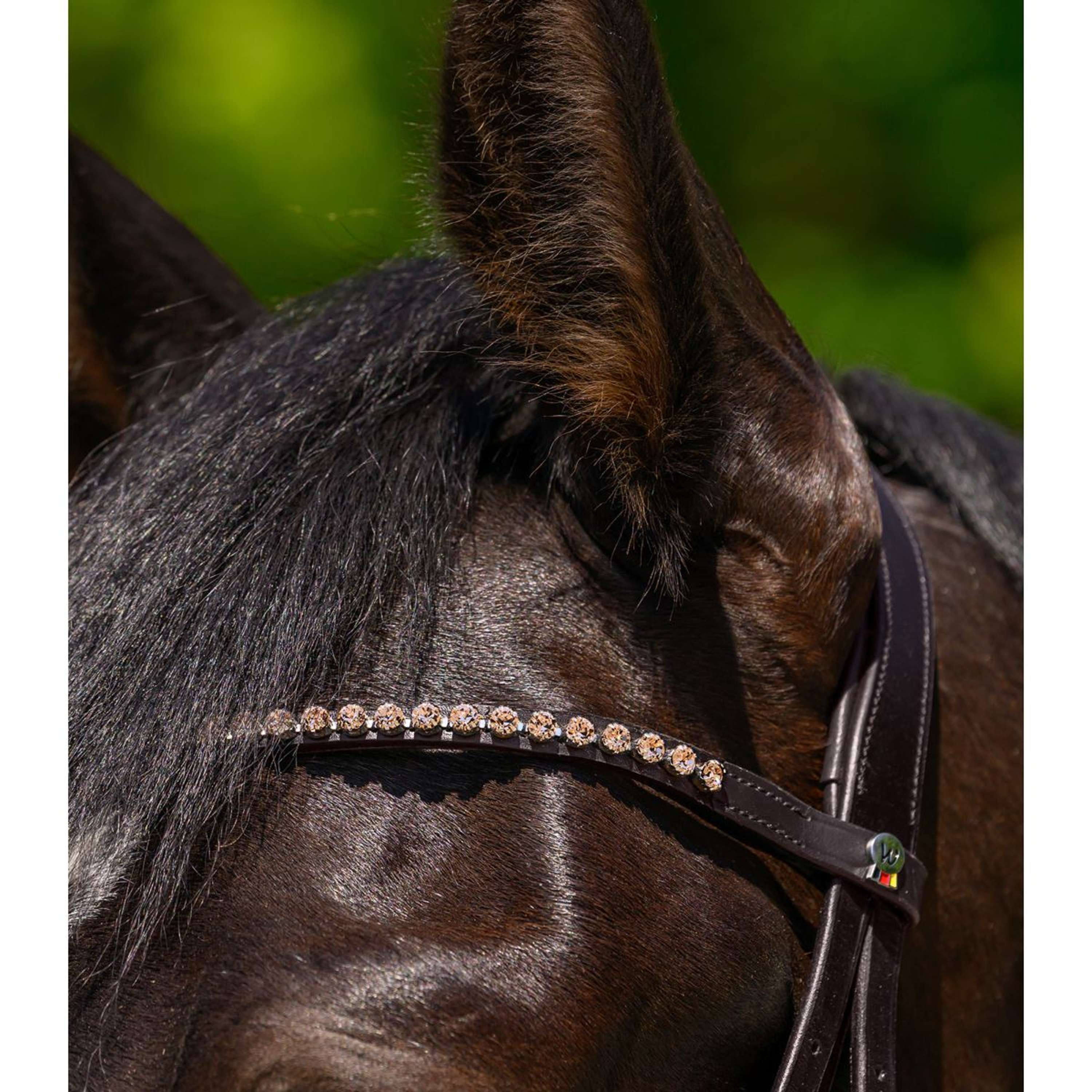 Waldhausen Frontal X-Line Glam Marron Pêche - Image 3