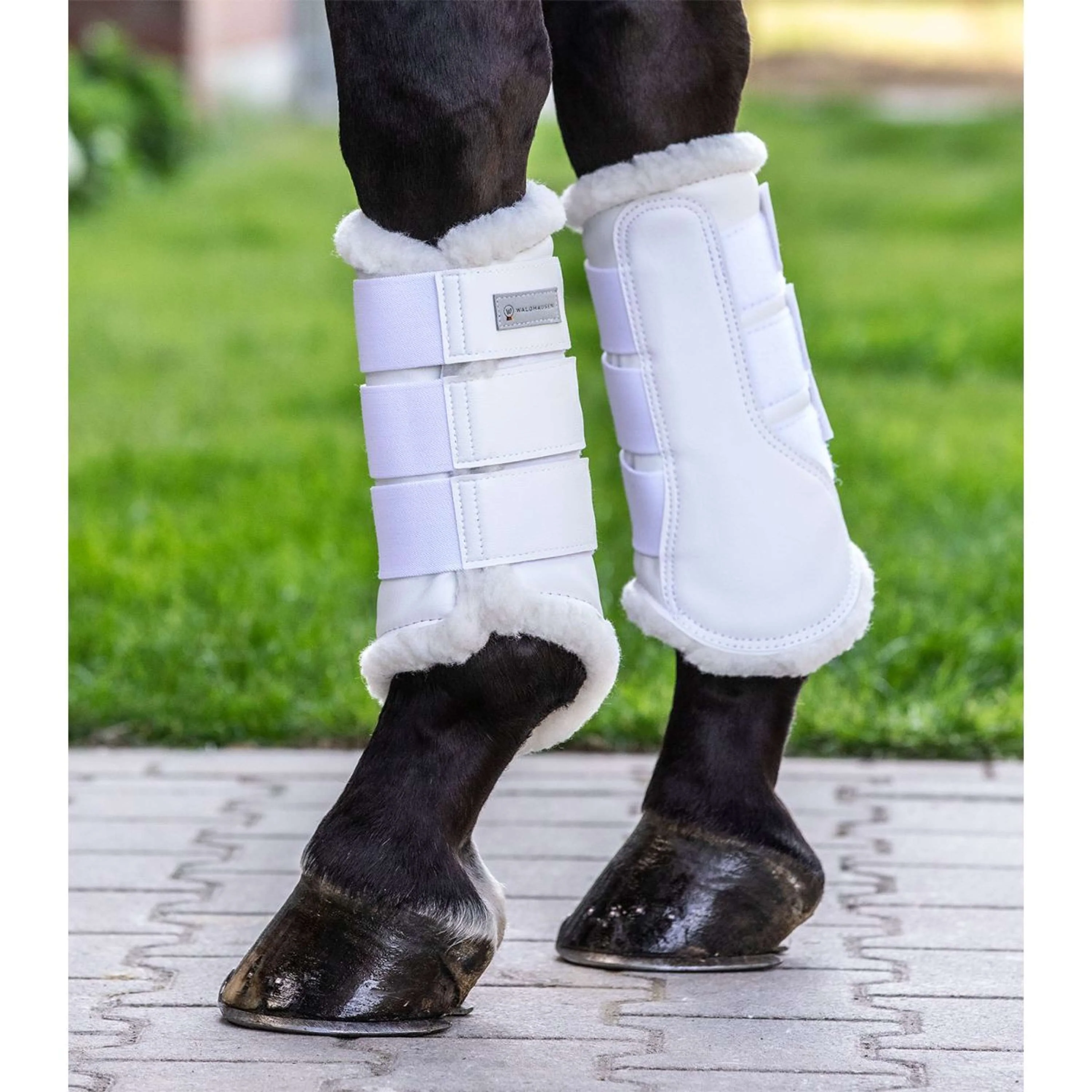 Waldhausen Guêtres Soft Dressage Blanc - Image 2