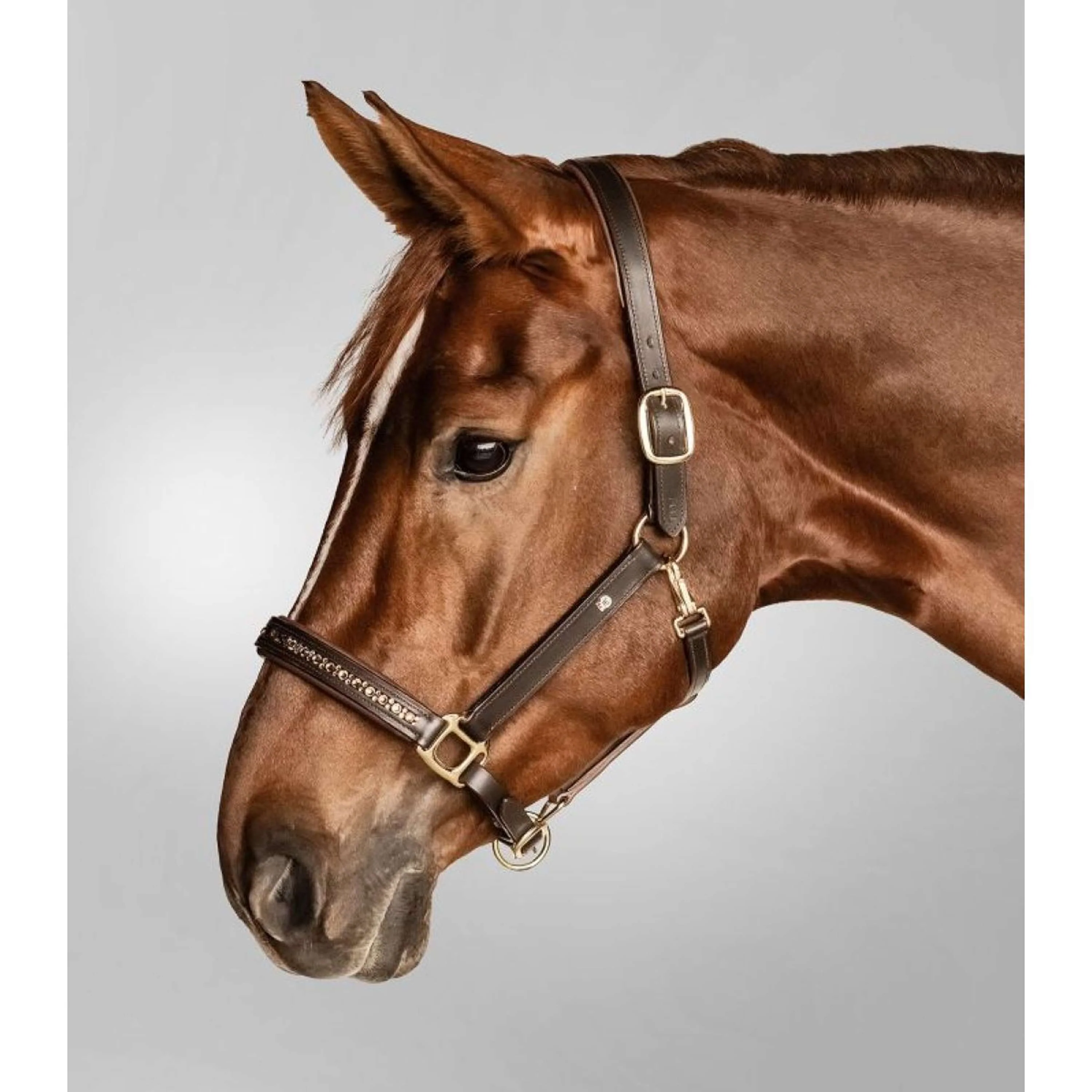 Waldhausen Halster Licol Crystal Marron/or - Image 3