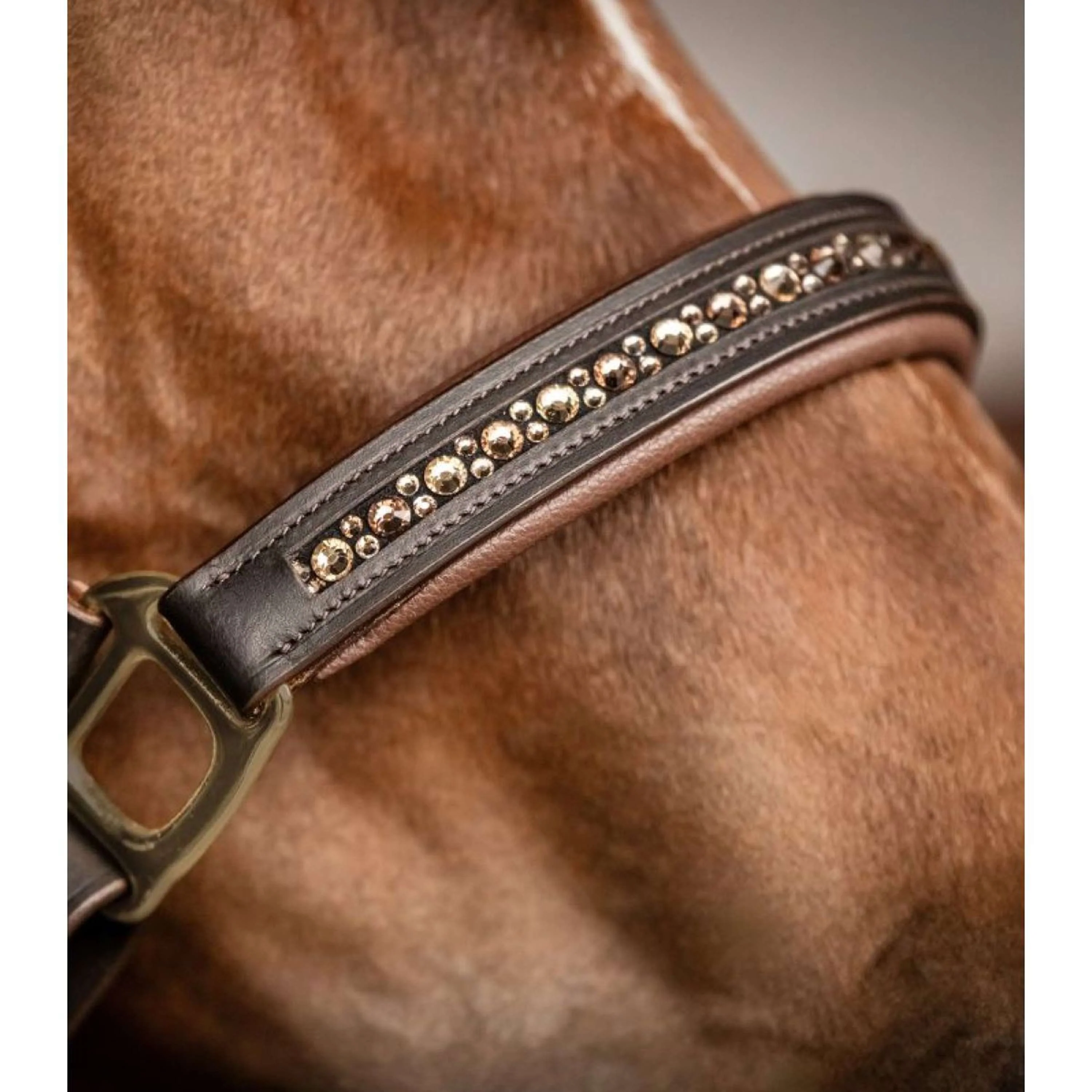 Waldhausen Halster Licol Crystal Marron/or - Image 5