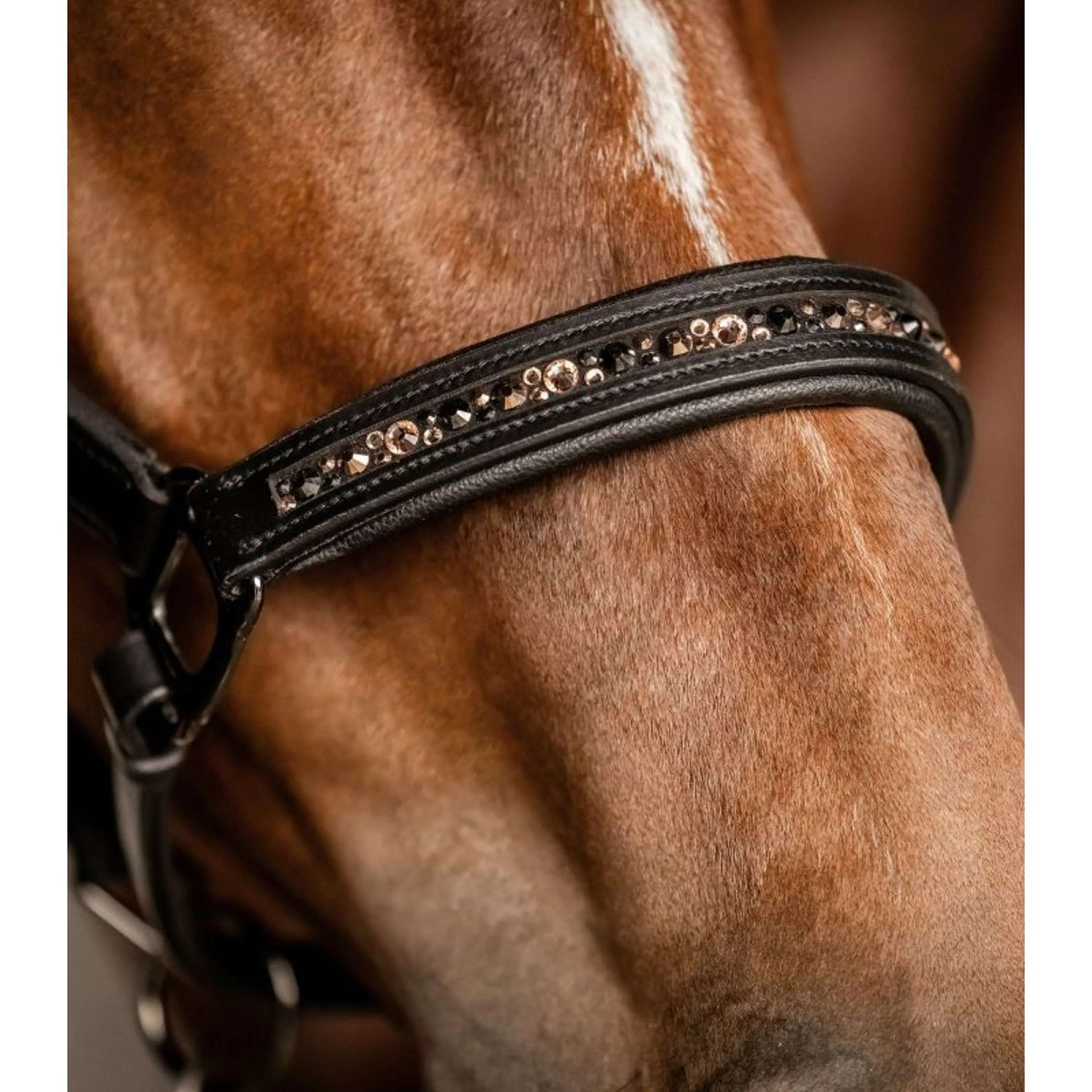 Waldhausen Halster Licol Crystal Noir/Gris - Image 4