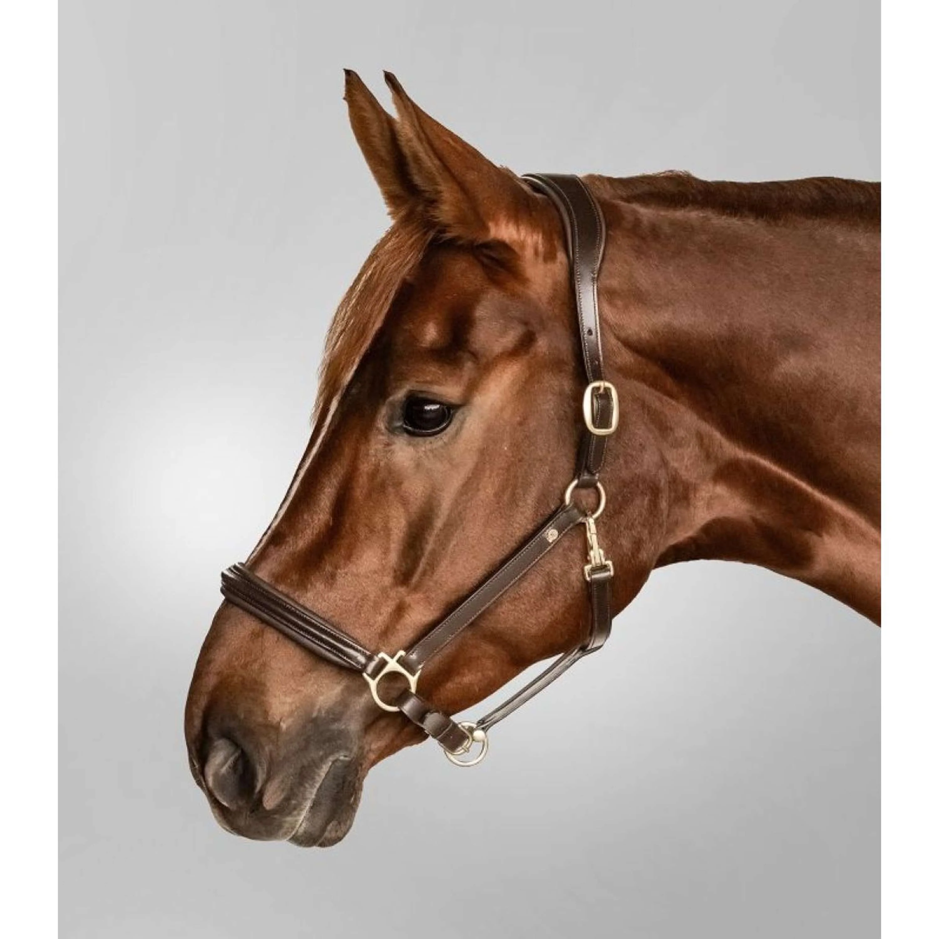 Waldhausen Halster Licol S-Line Classy Marron - Image 3