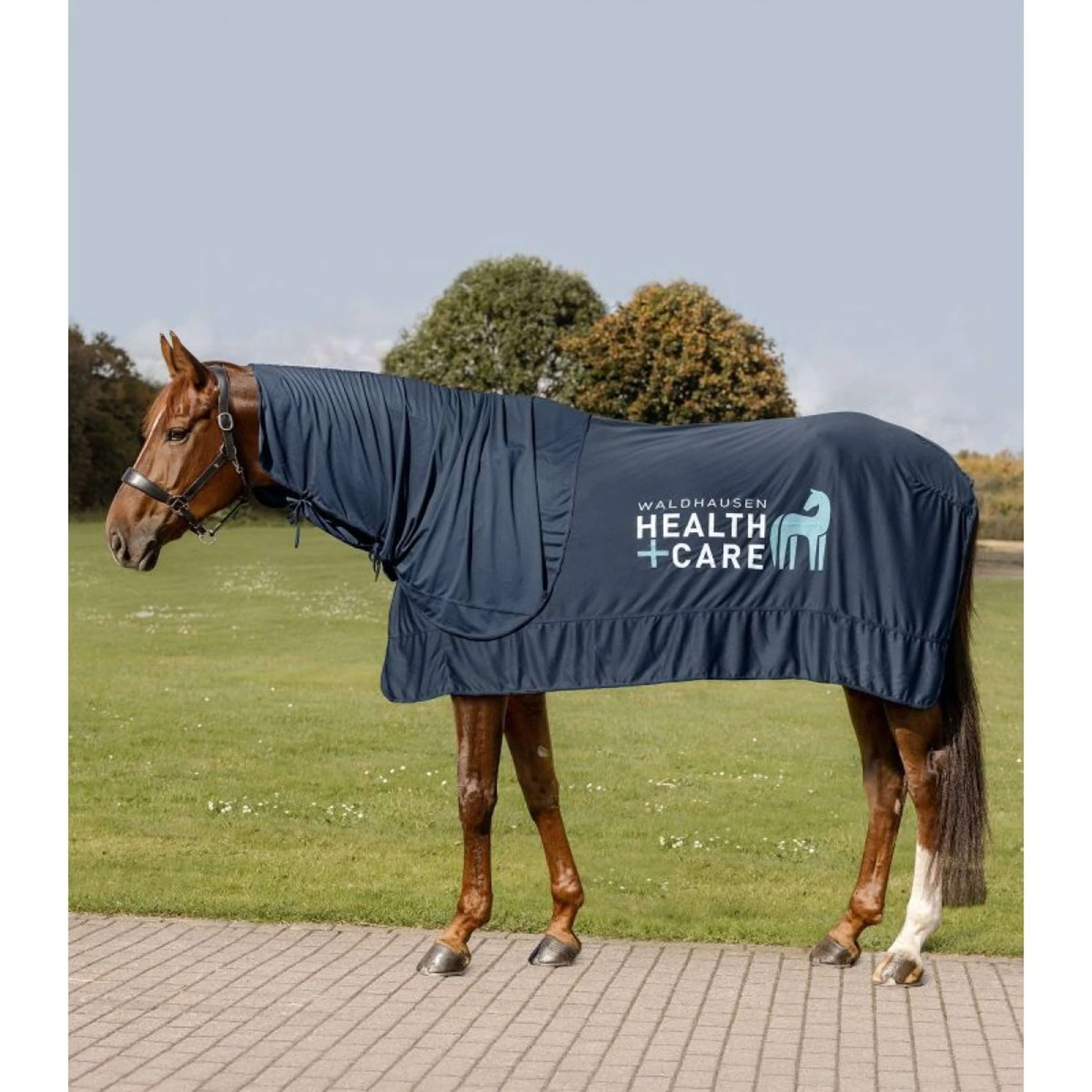 Waldhausen Health + Care Couvre-Cou Ice Layer Bleu Nuit - Image 5