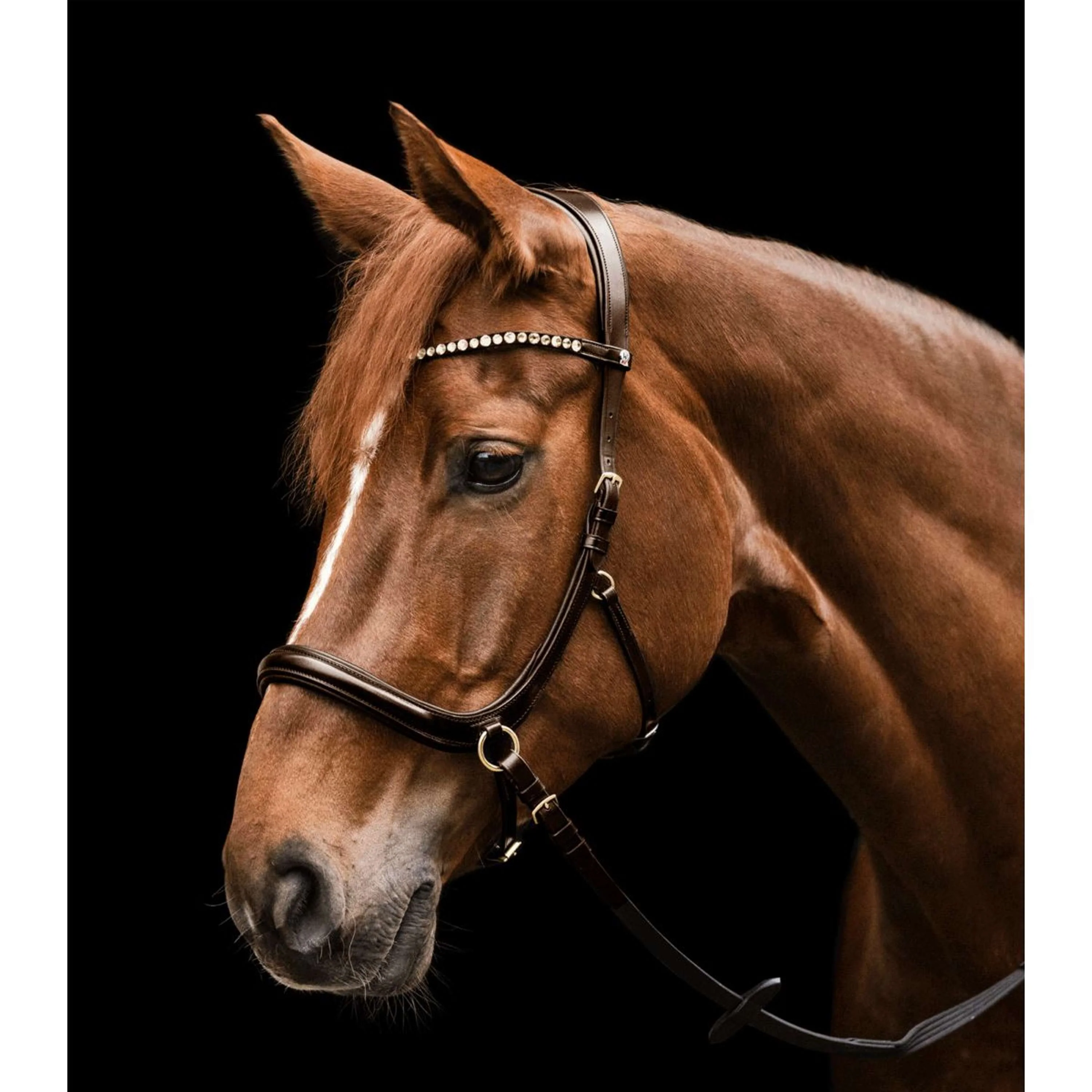 Waldhausen Hoofdstel Bride X-Line Sensation Marron - Image 2