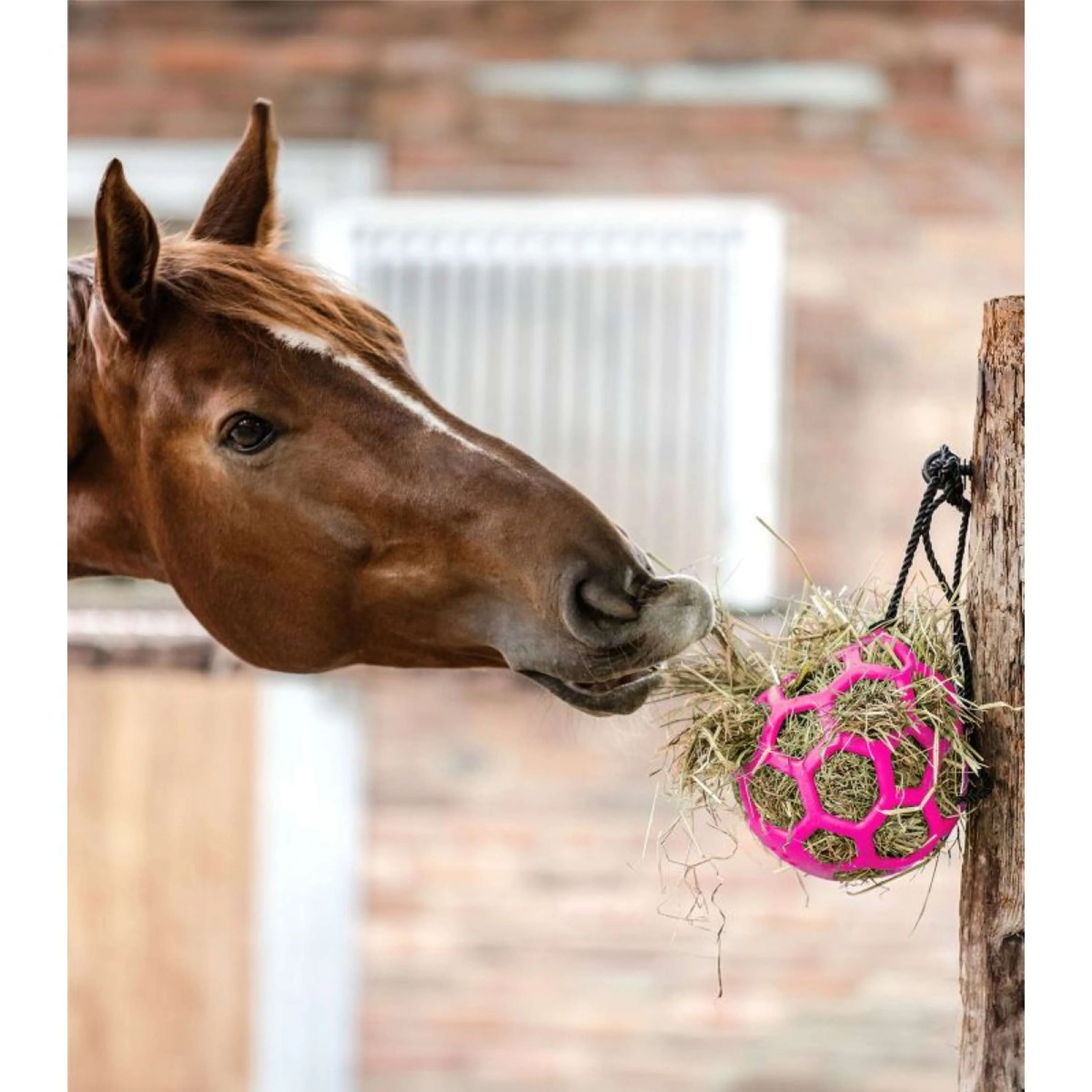 Waldhausen Hooibal Balle de Foin Rose - Image 2