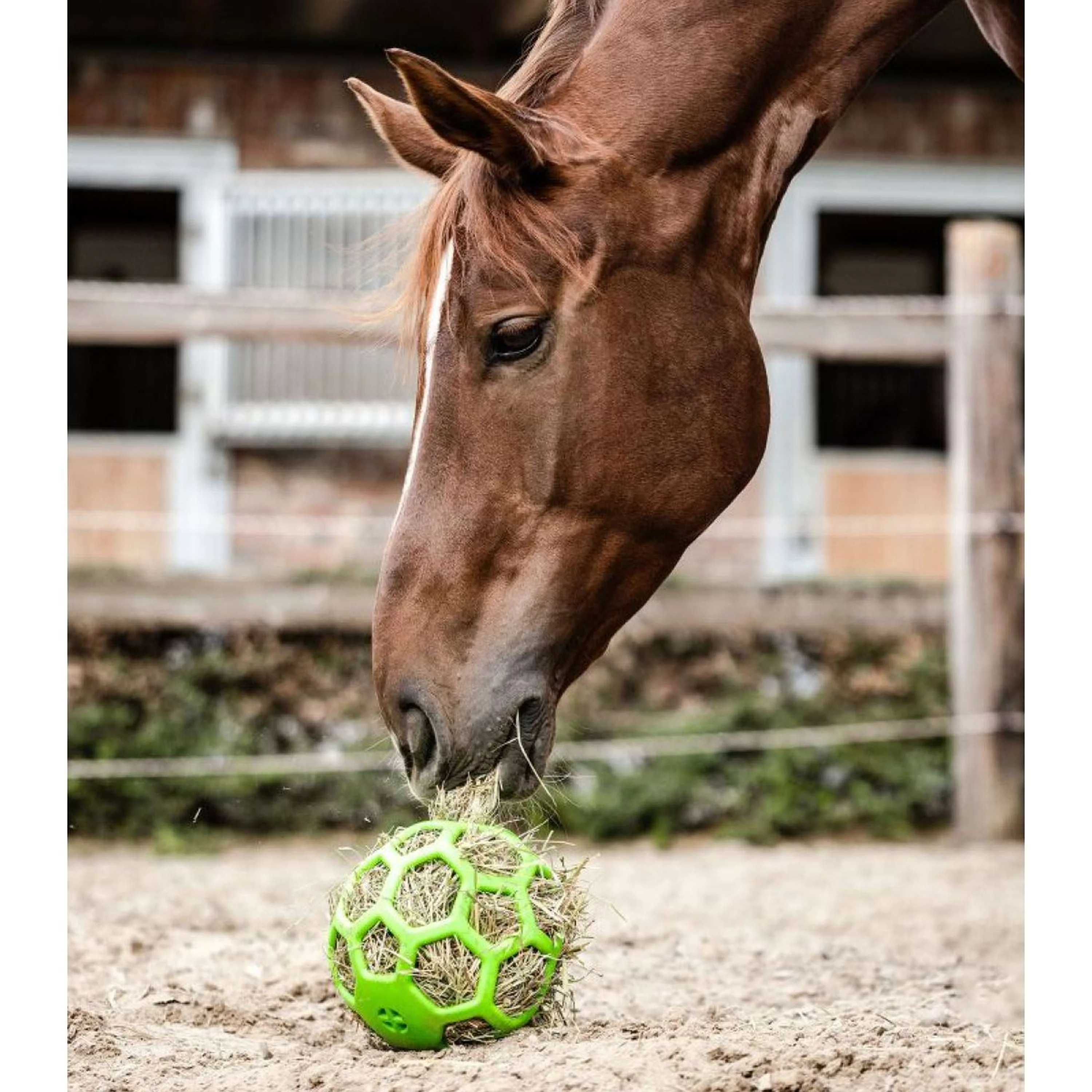 Waldhausen Hooibal Balle de Foin Vert - Image 2