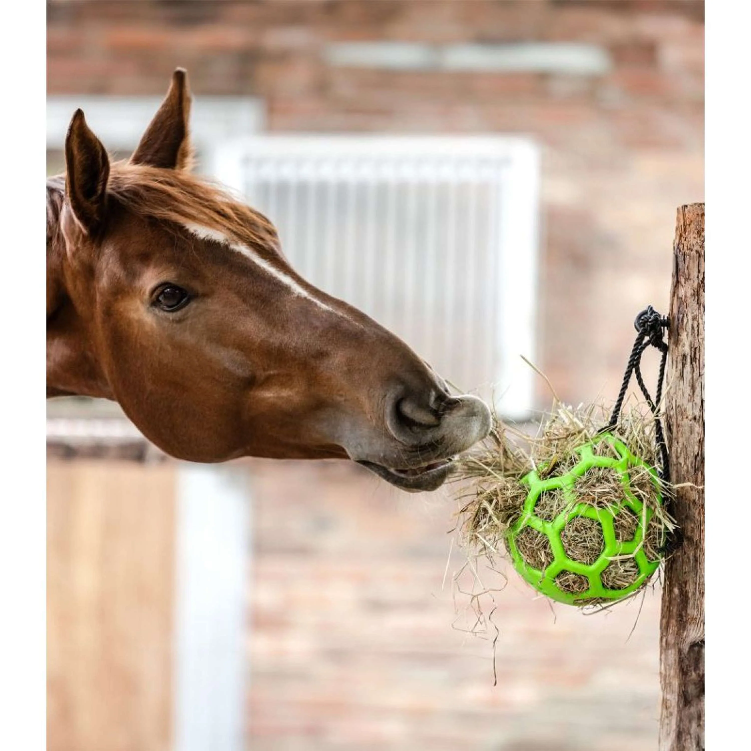 Waldhausen Hooibal Balle de Foin Vert - Image 3