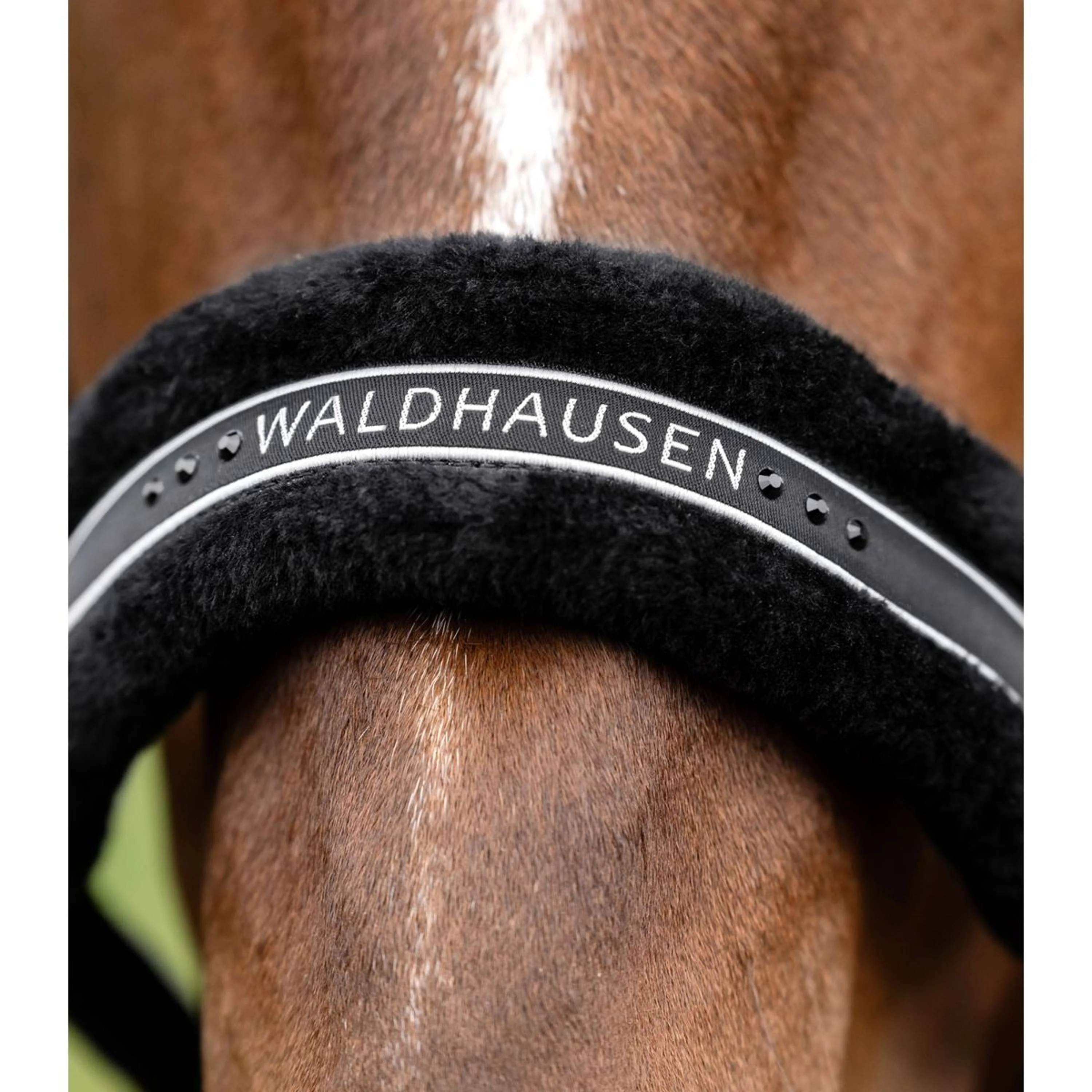 Waldhausen Licol Elegant Noir/Noir - Image 4
