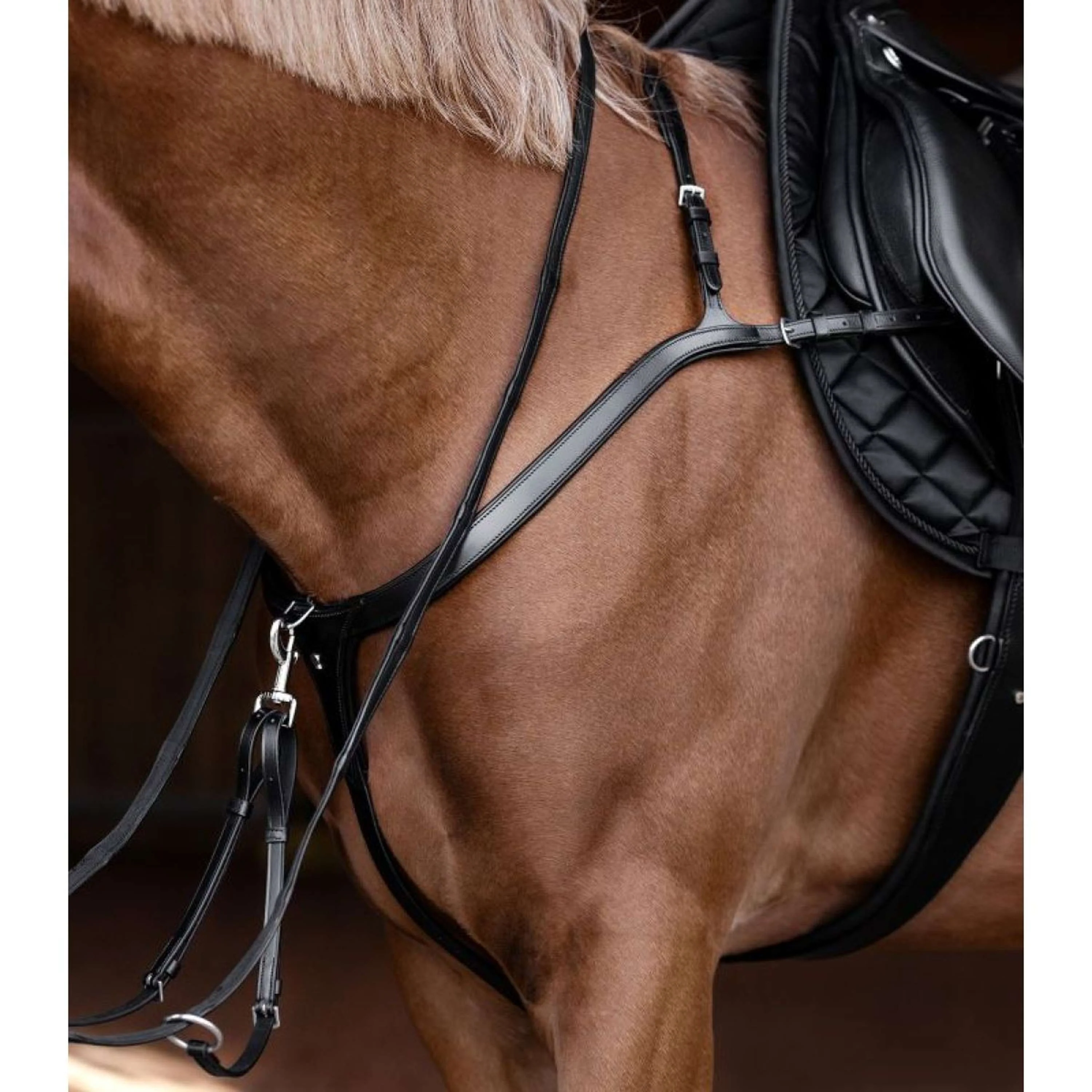 Waldhausen Martingale X-Line Marron - Image 2
