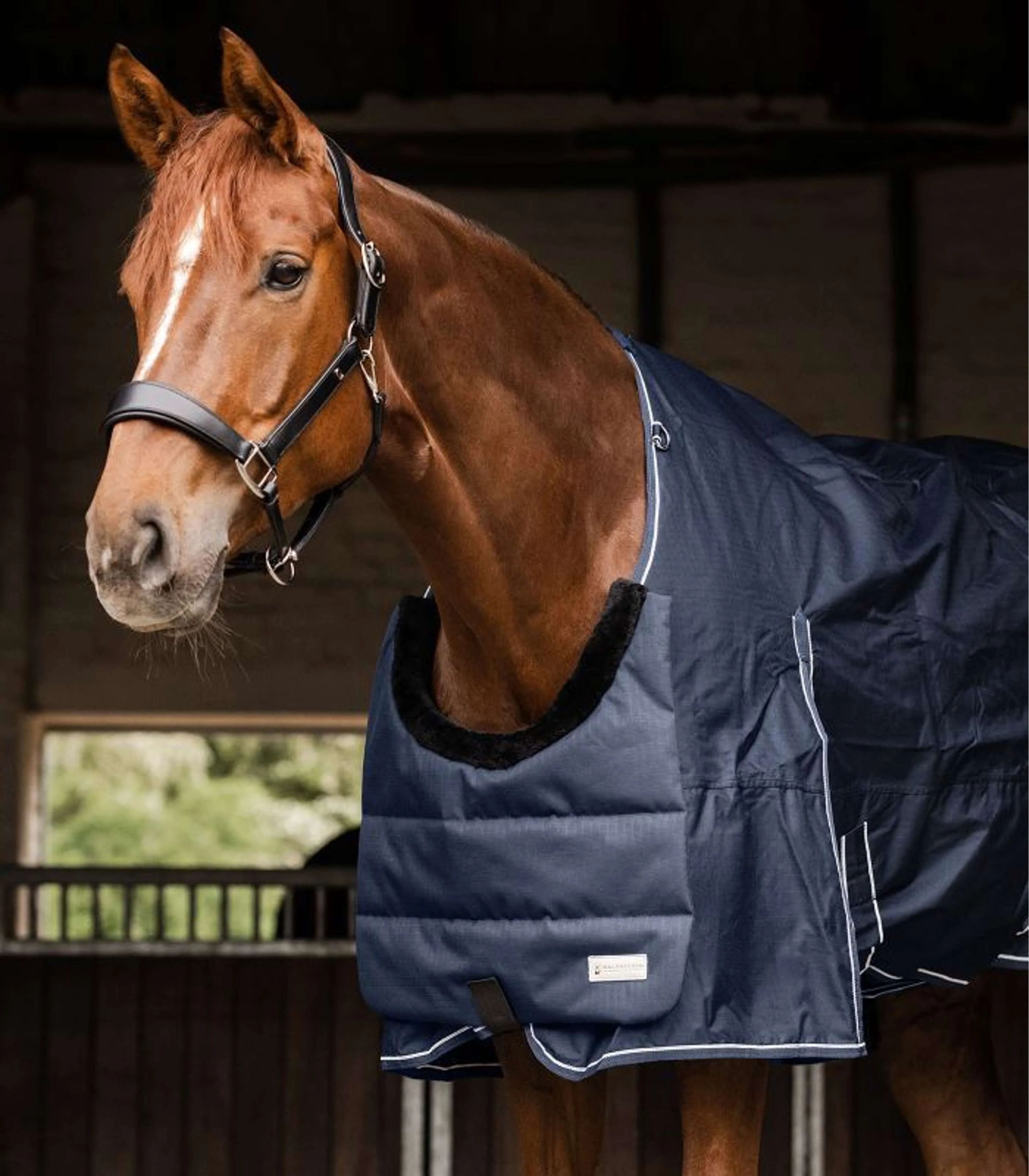 Waldhausen Protection de Poitrail Bleu/Noir - Image 3