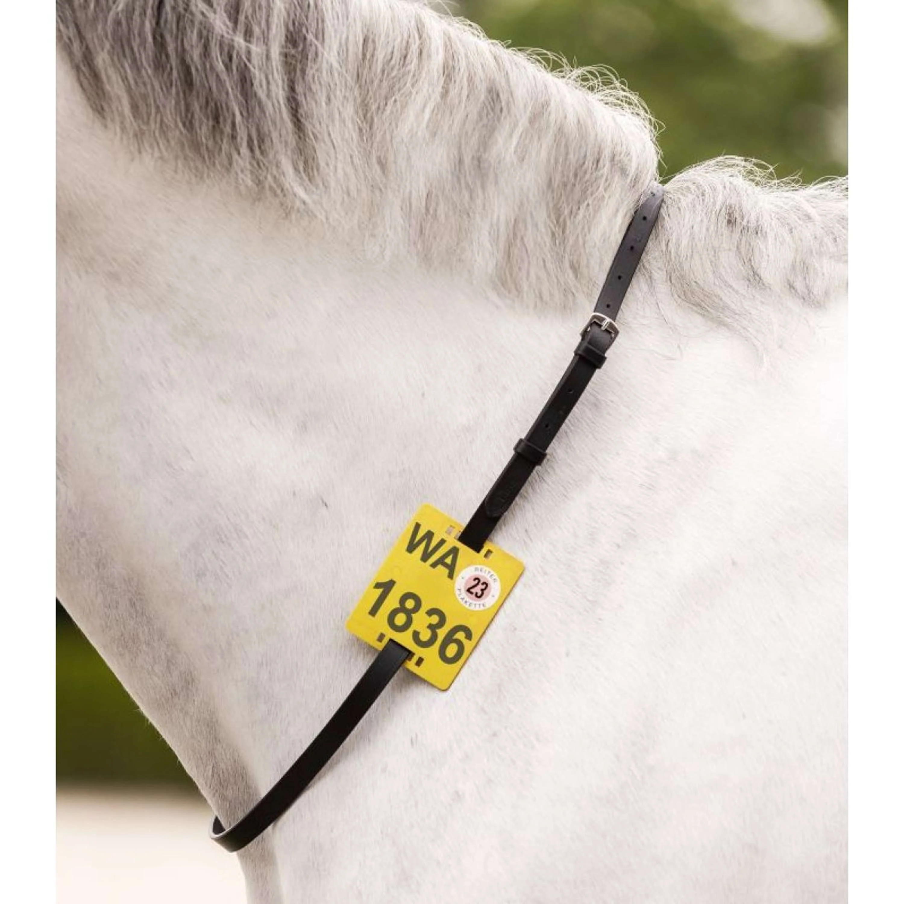Waldhausen Riding Strap Sangle d'équitation Noir - Image 2